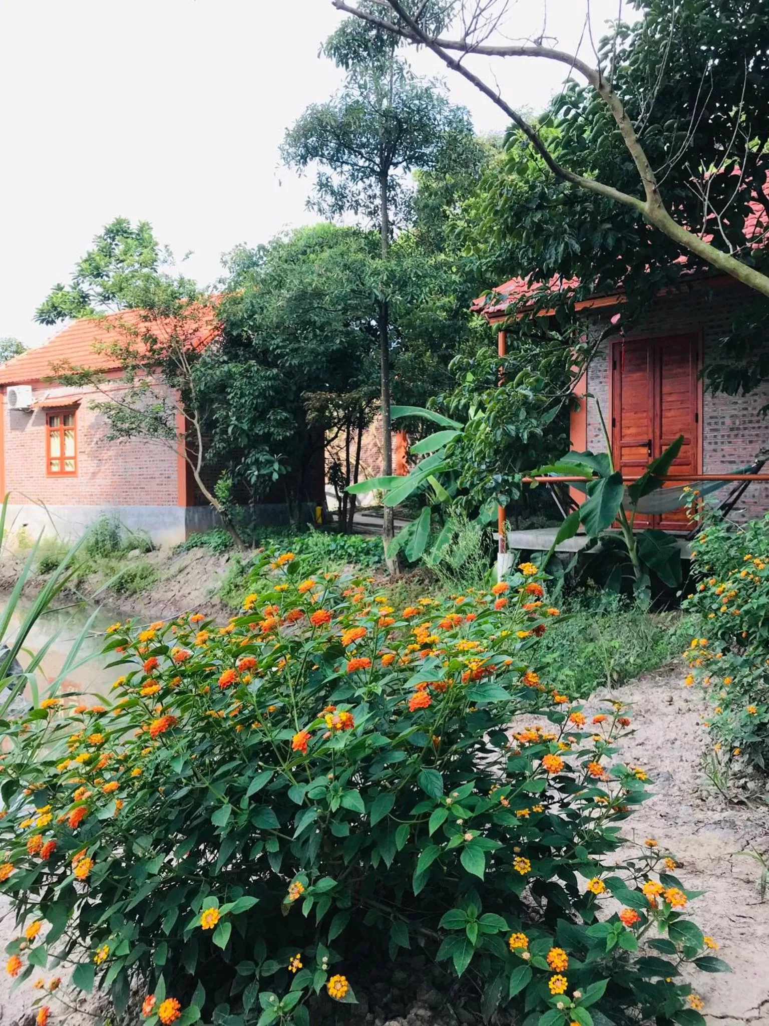 Patio, Garden in Trang An Lotus Lake Homestay