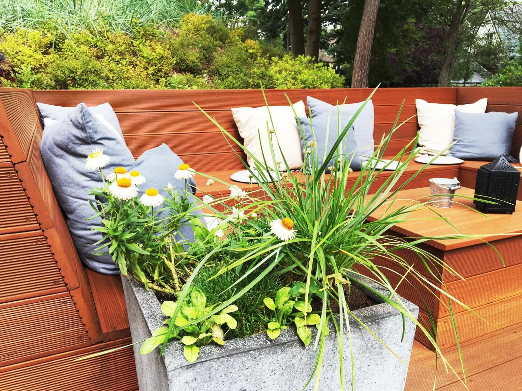 Balcony/Terrace, Garden in Hotel Ancora