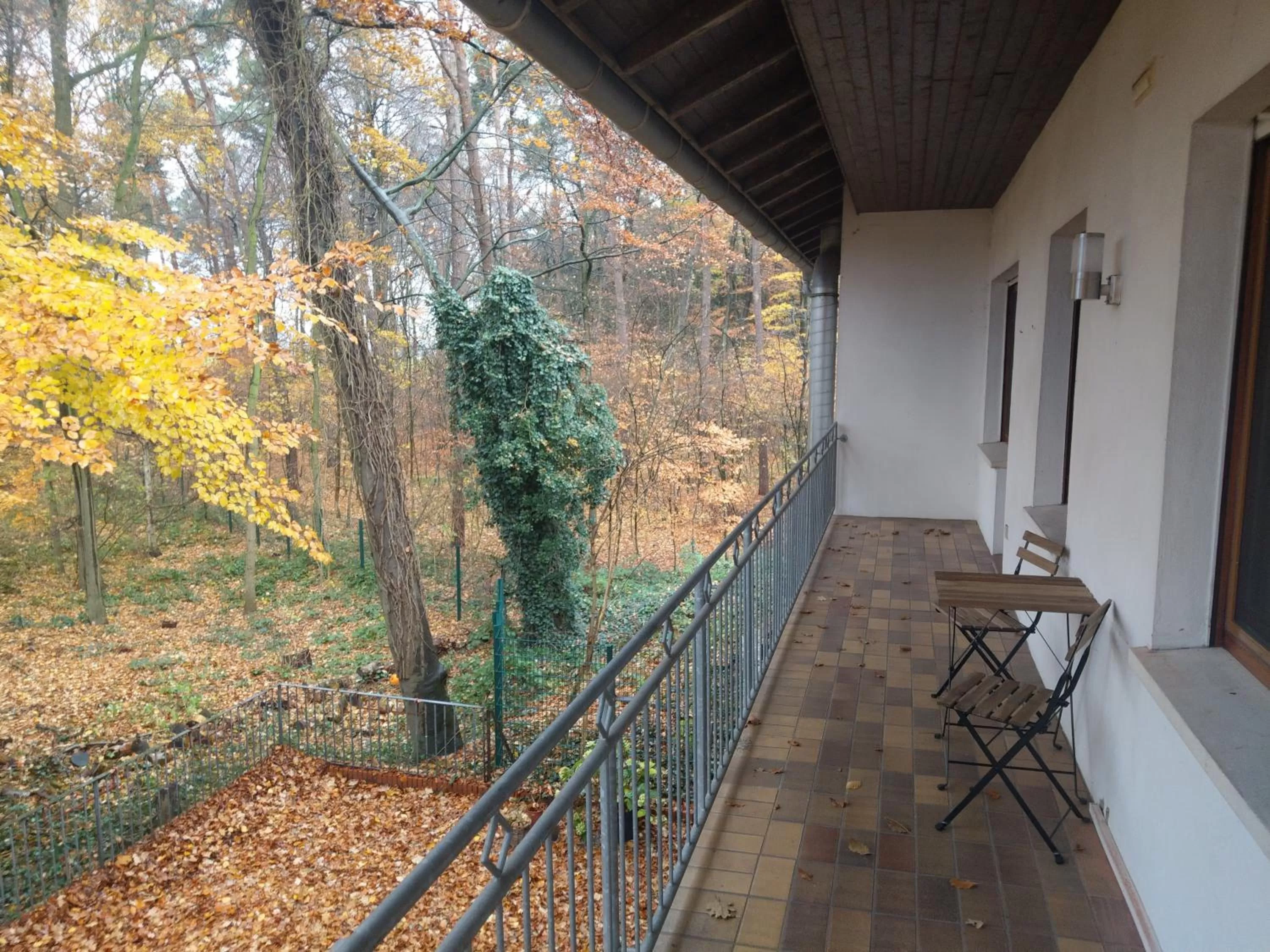 Balcony/Terrace in Hotel Hopener Wald ,Self Check In