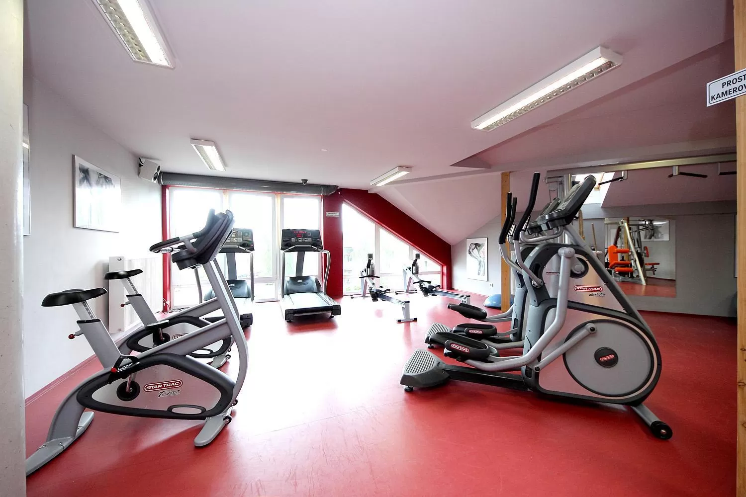 Fitness centre/facilities, Fitness Center/Facilities in Hotel S-centrum