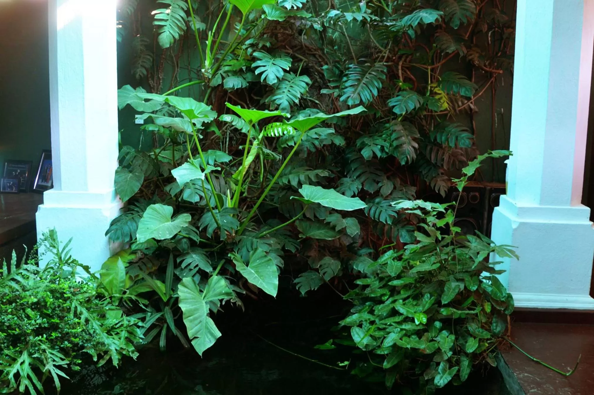 Other in Dambulla Rock Arch