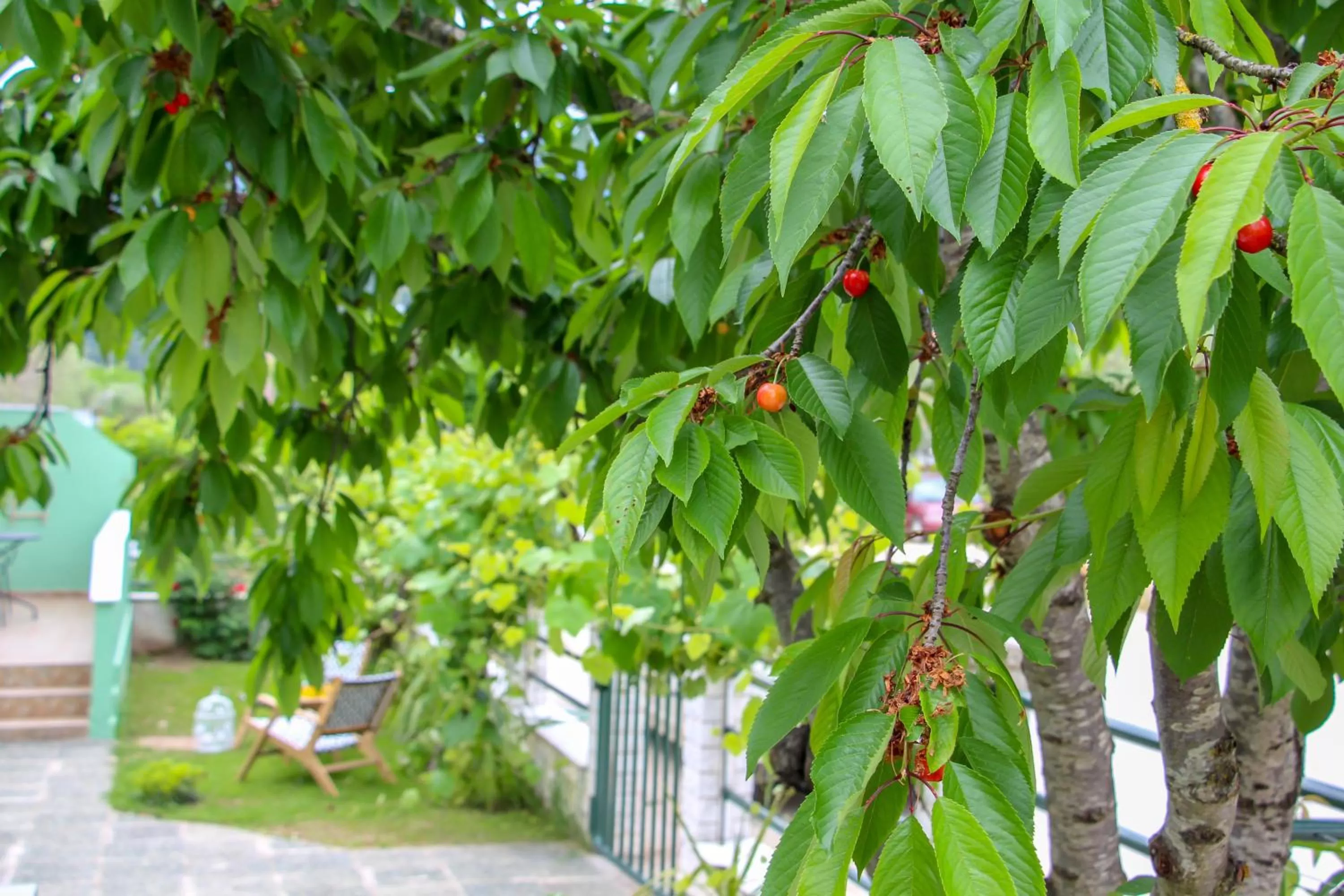 Lamprini's Deluxe Studios