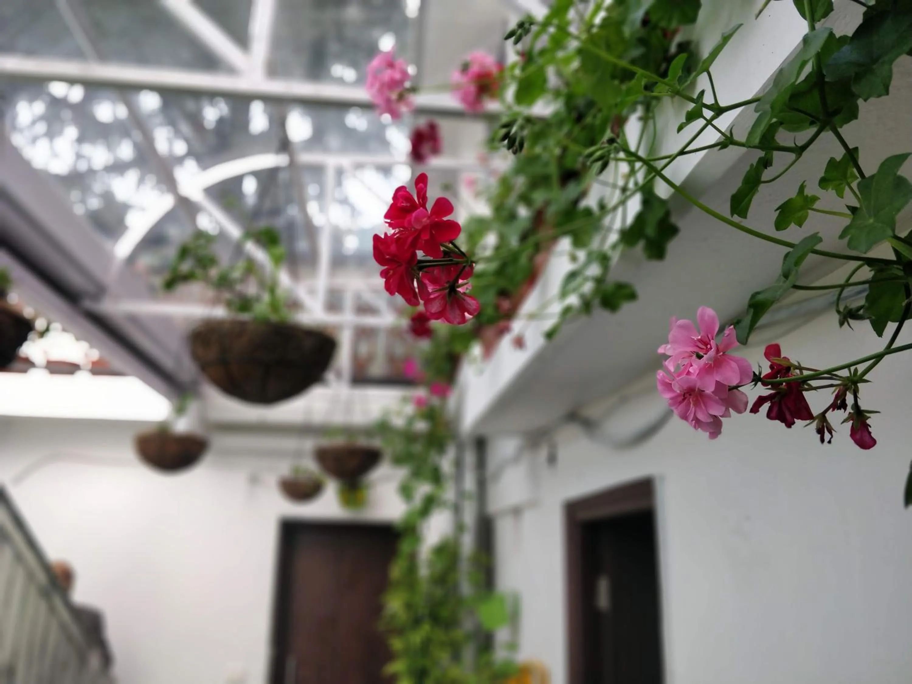 Facade/entrance in Hotel SunGrace