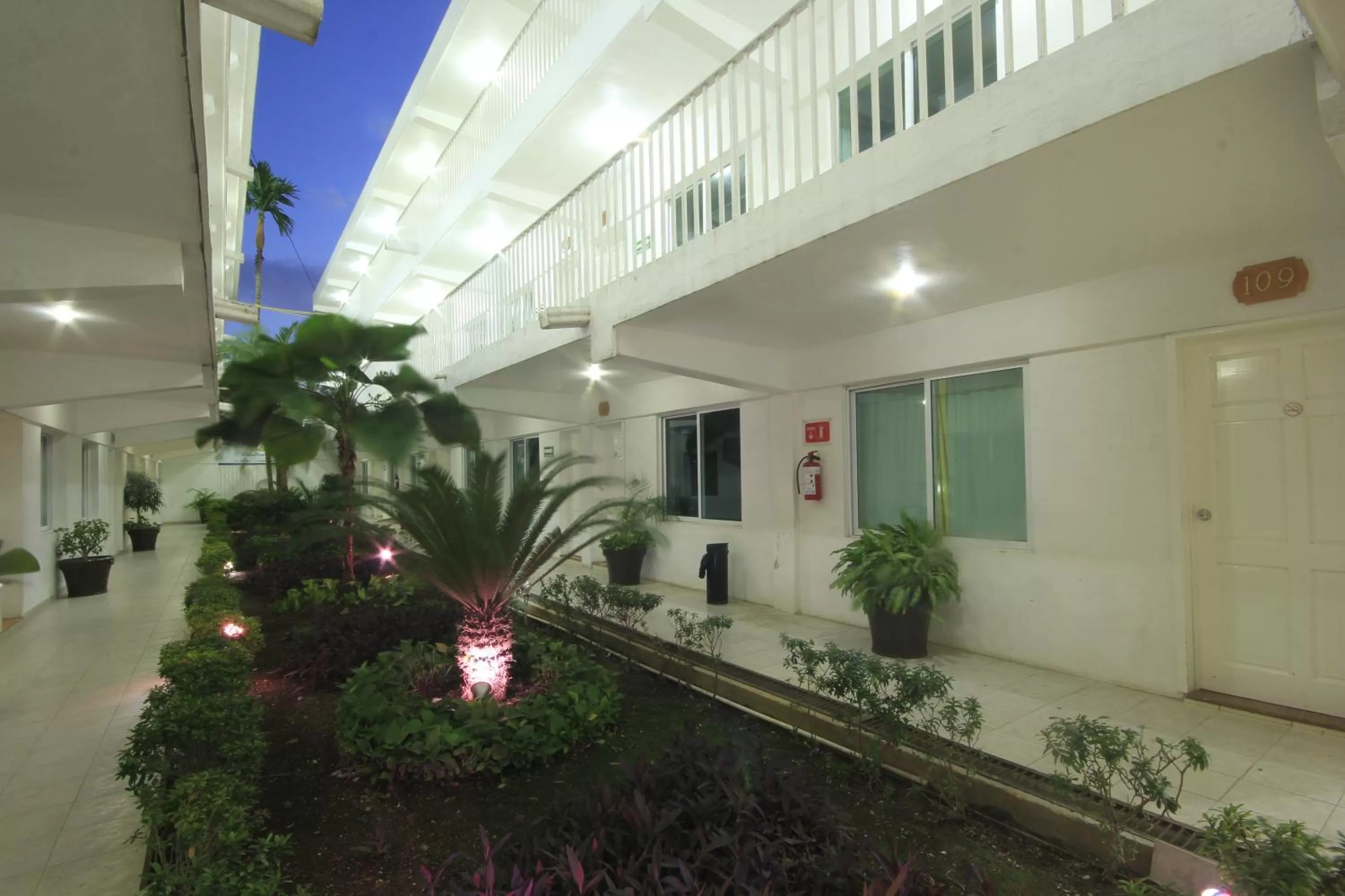 Garden in Hotel Casa Blanca
