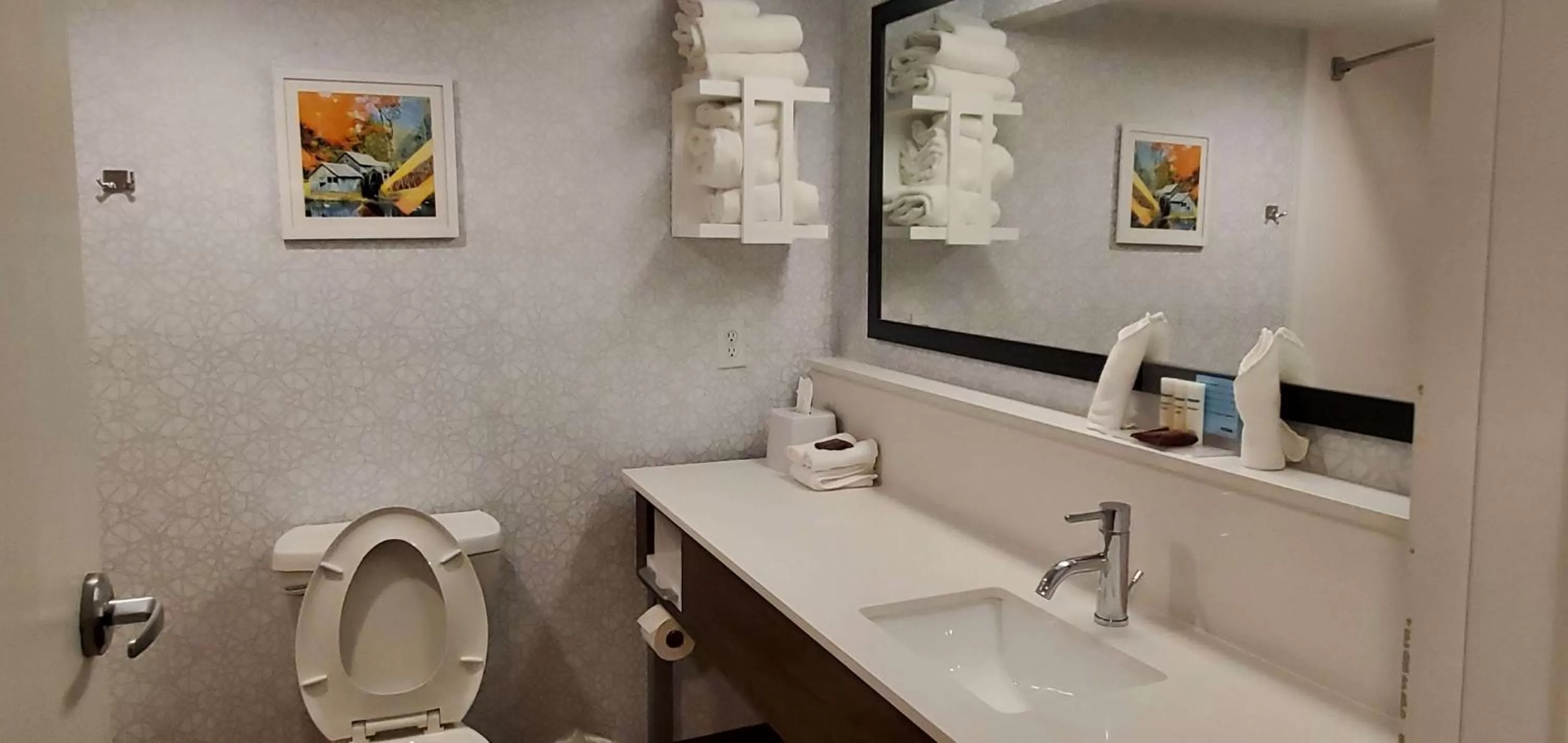 Bathroom in Hampton Inn - Hillsville