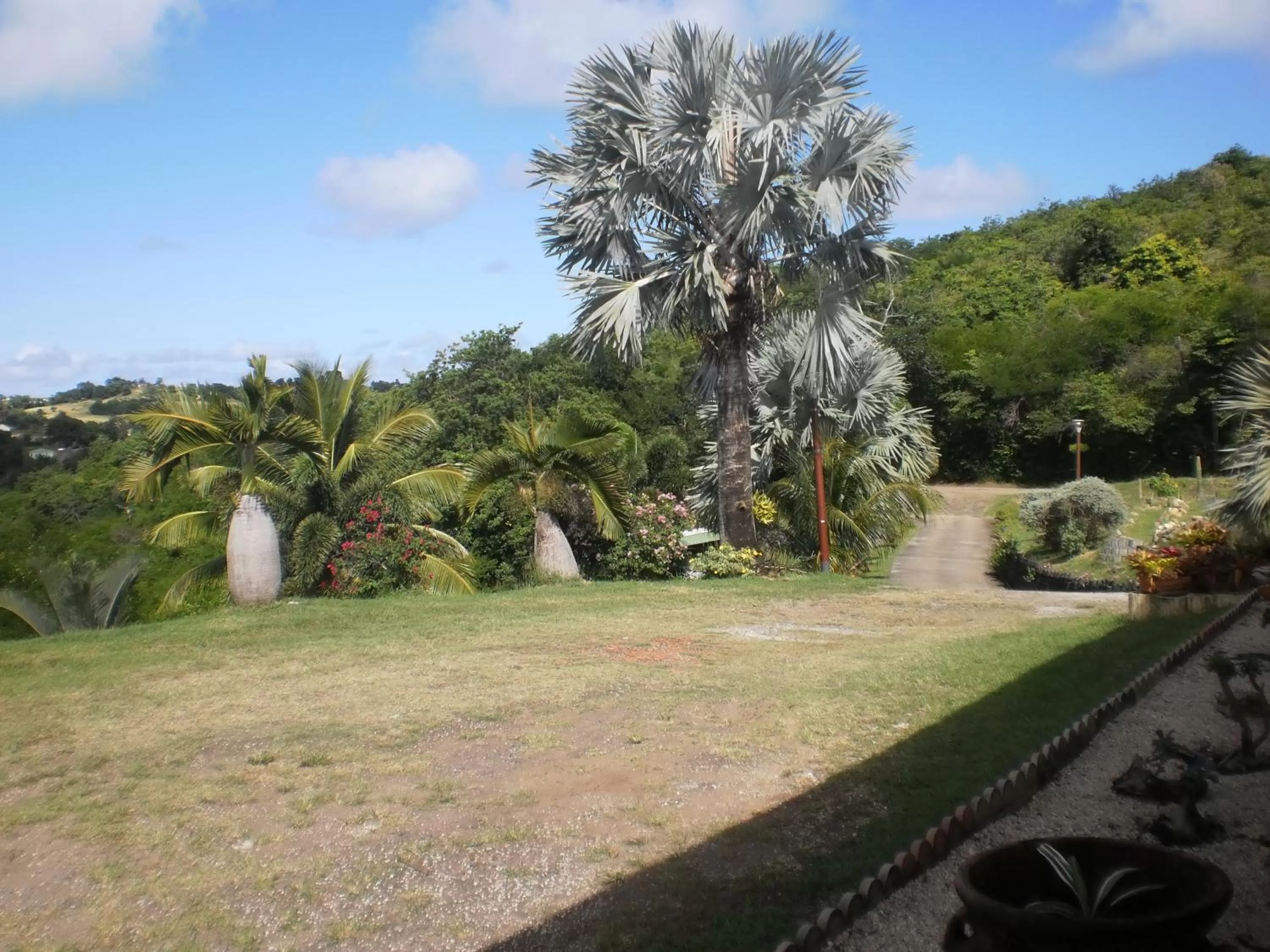 Day, Garden in Bed and breakfast Riviere