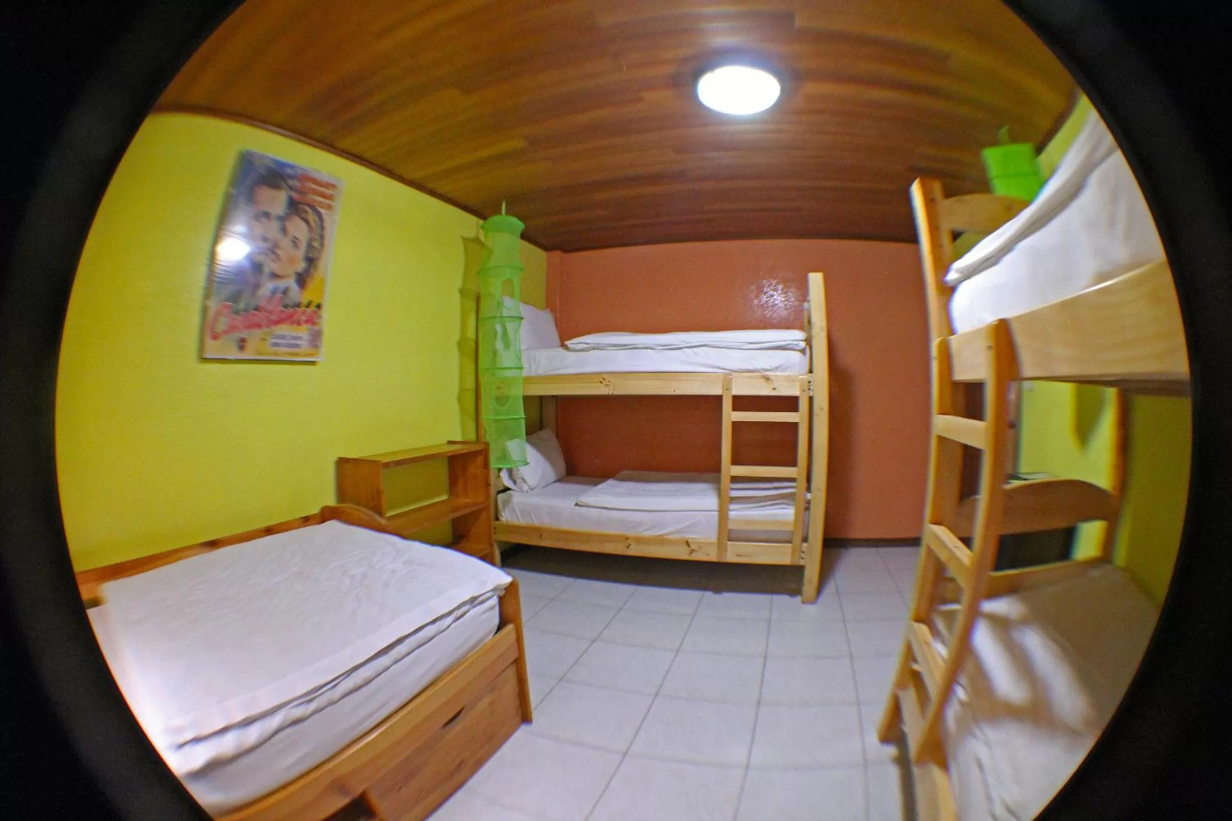 Bed, Bunk Bed in La Casa del Molino Blanco B&B