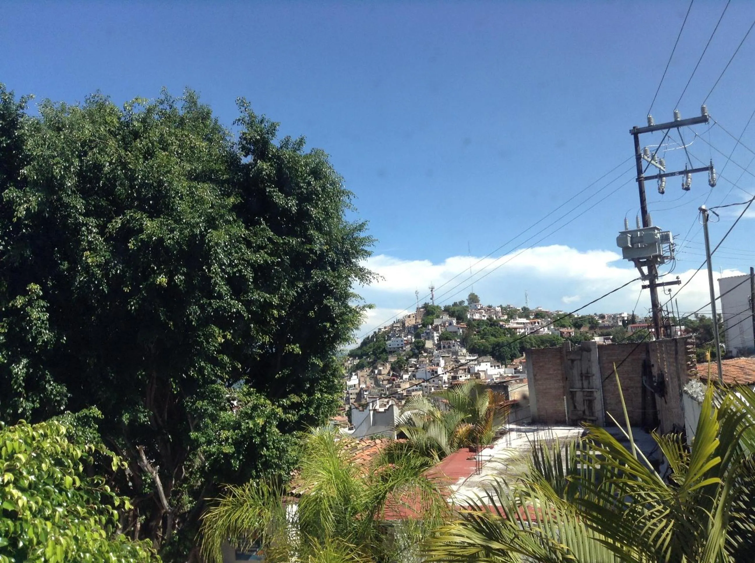Garden in Hotel Real de San Diego
