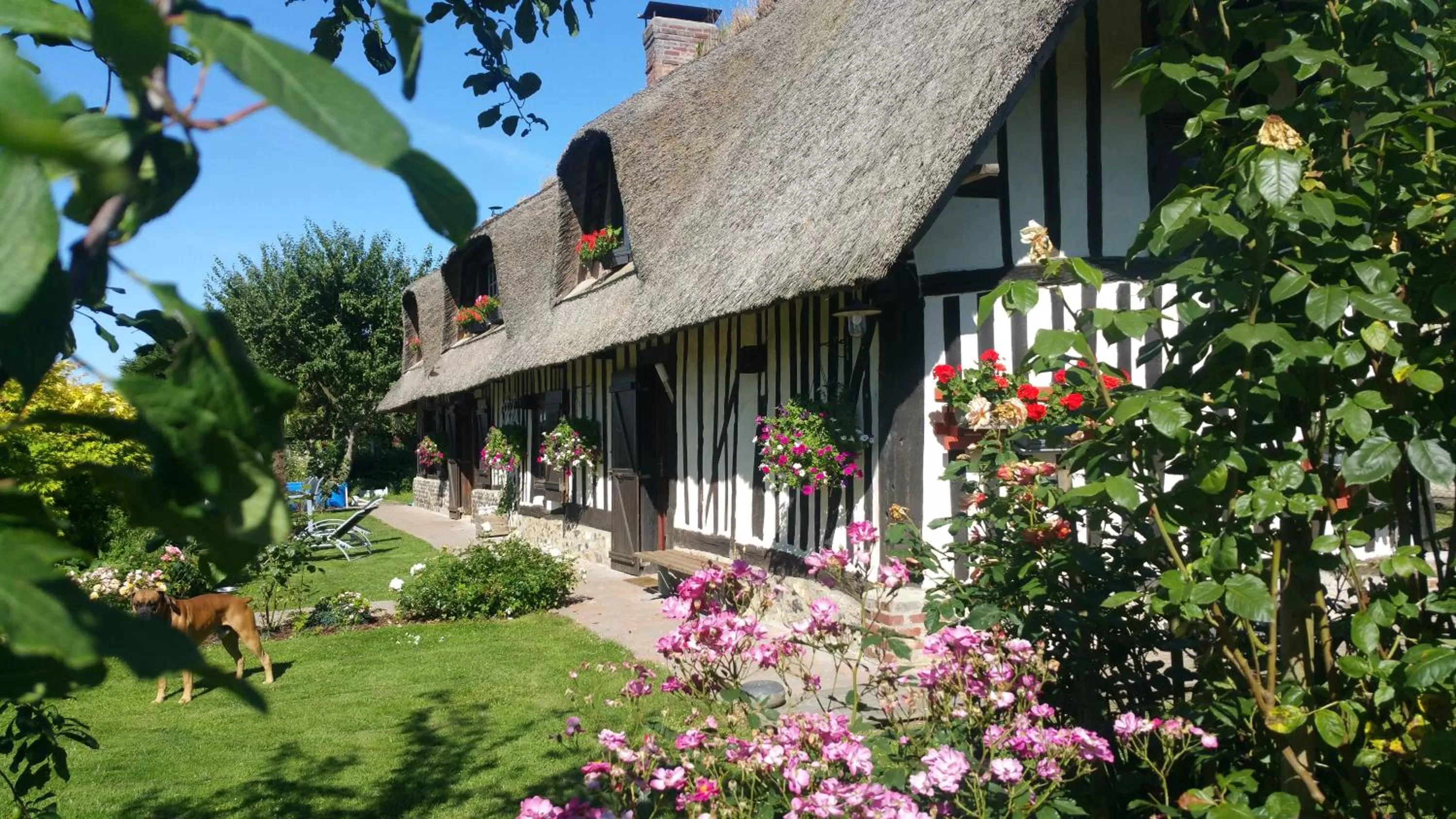 Garden in La Chaumière
