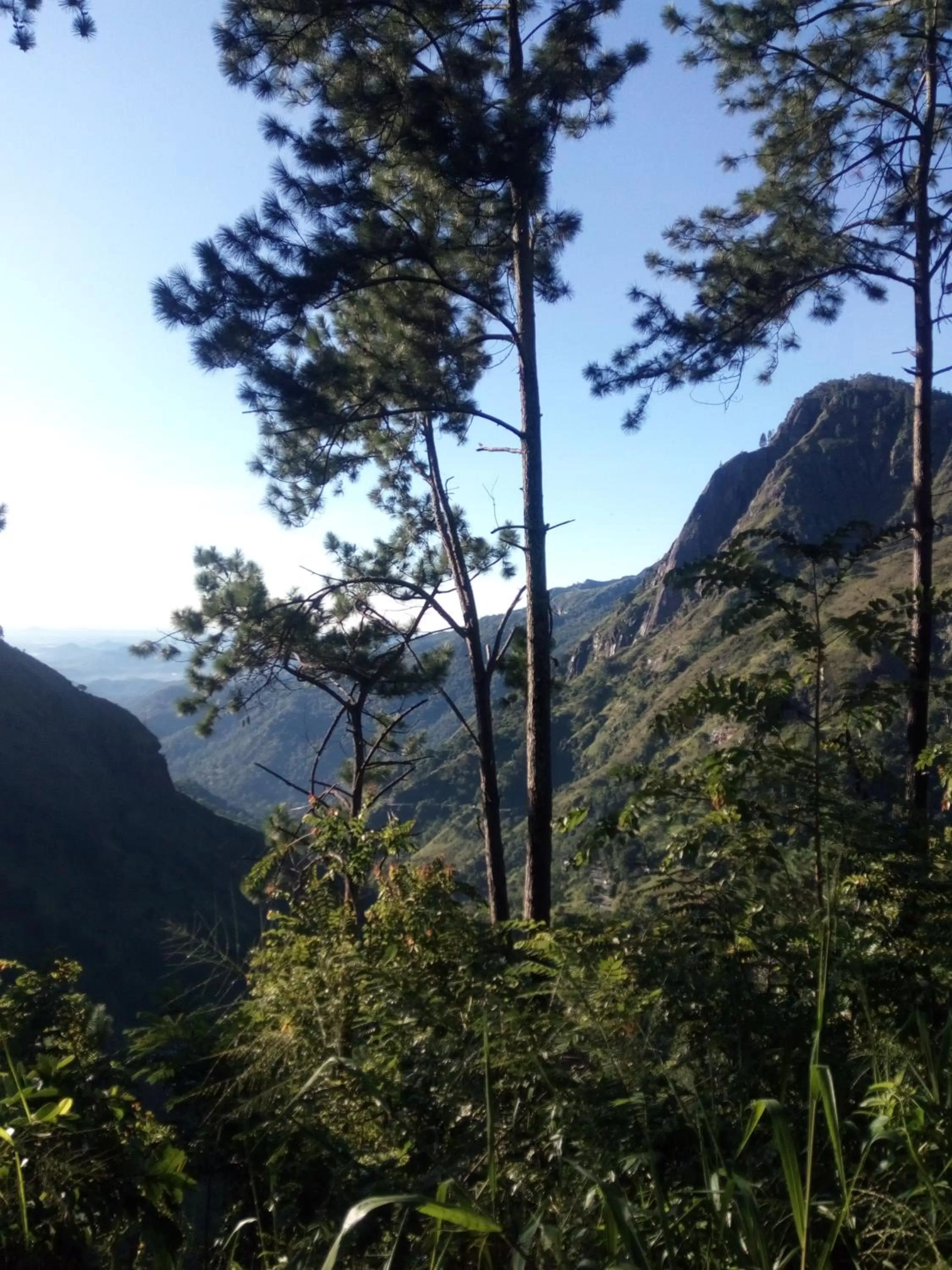 Natural Landscape in Dream view