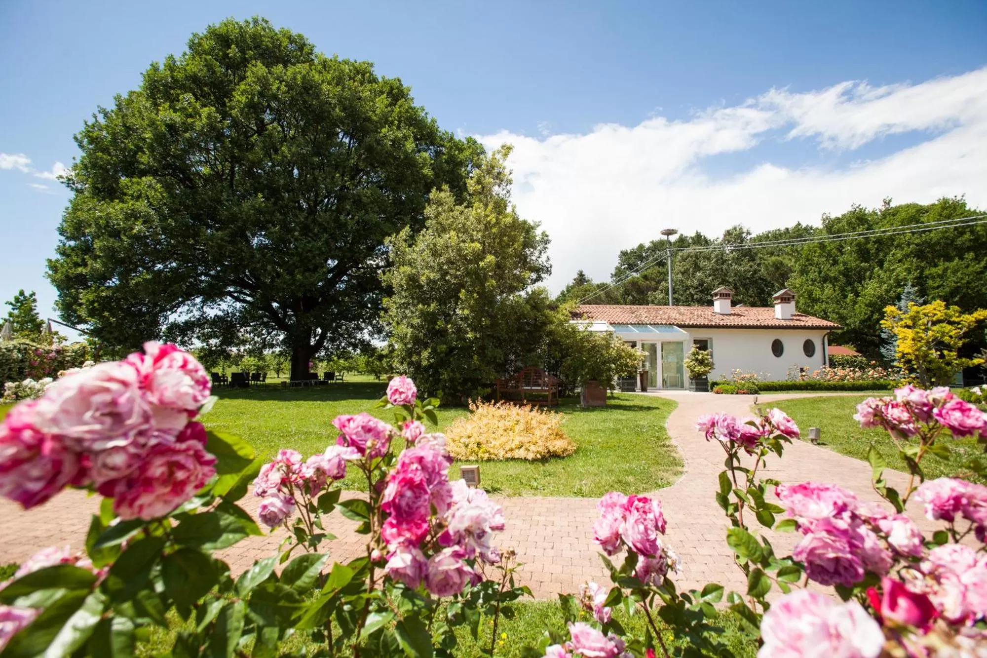 Day in Villa Abbondanzi Resort