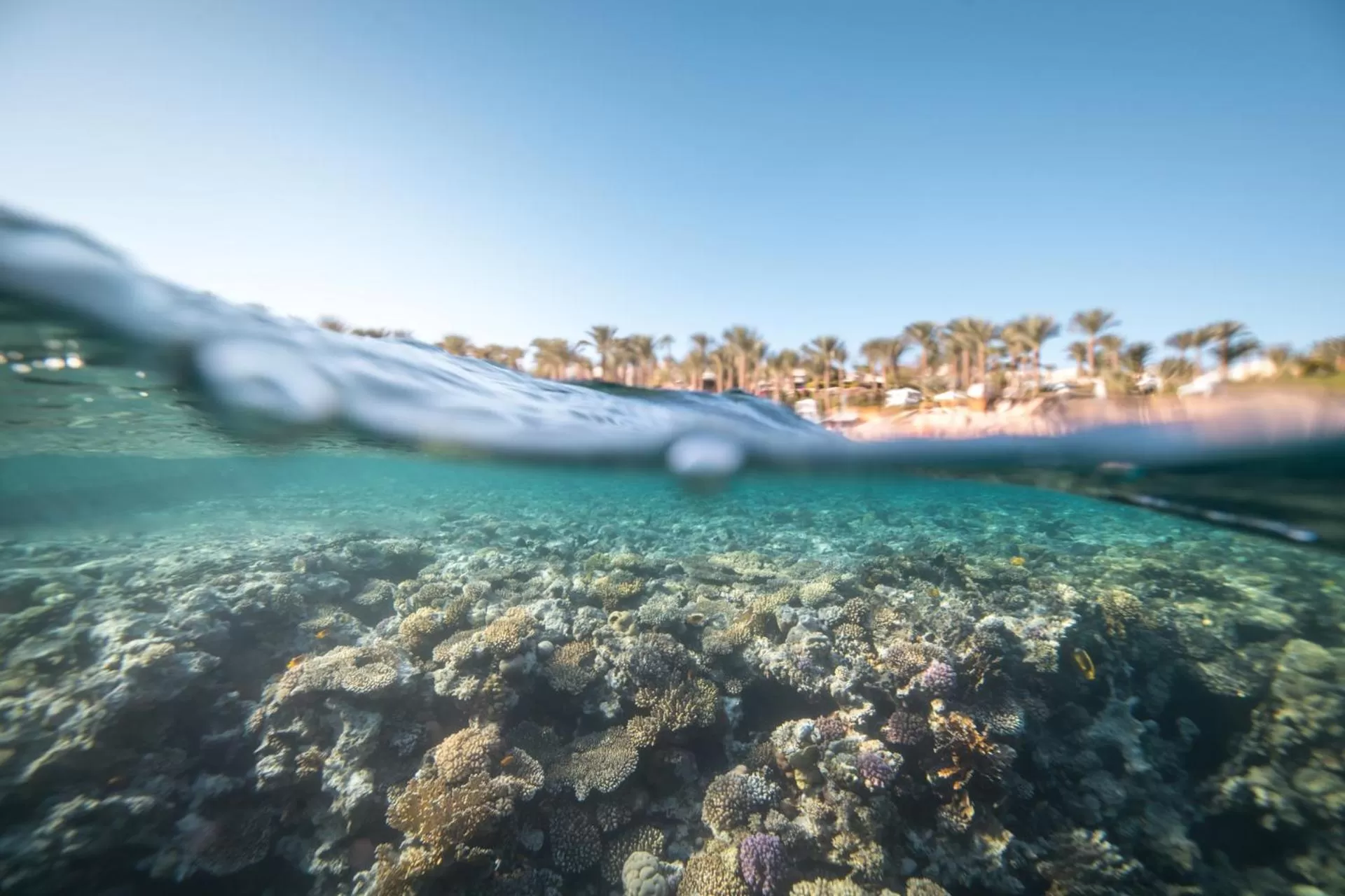 Beach in Four Seasons Resort Sharm El Sheikh