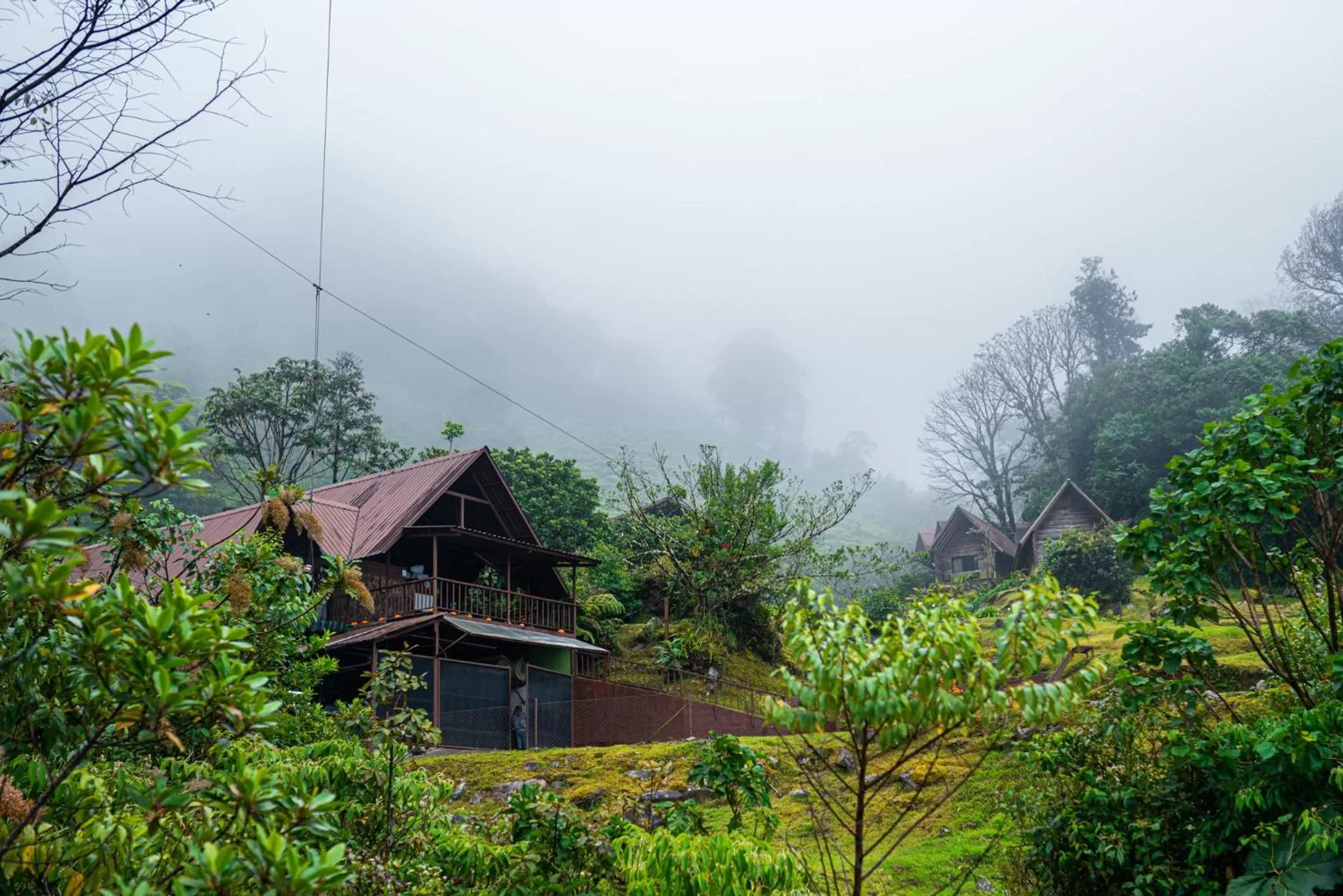 Property building in TREE TREK BOQUETE Adventure Park