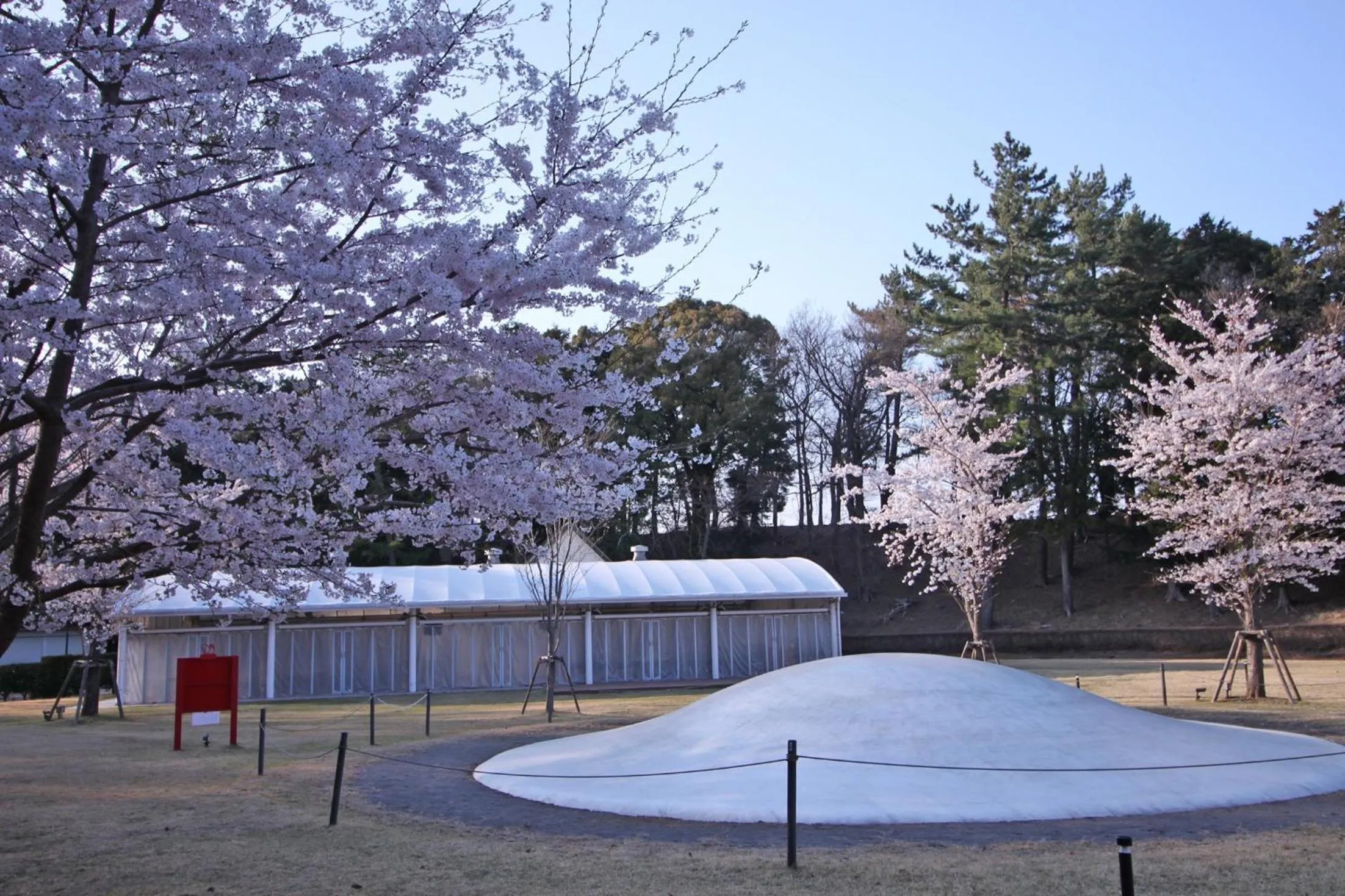 Natural landscape in Hotel Laforet Shuzenji