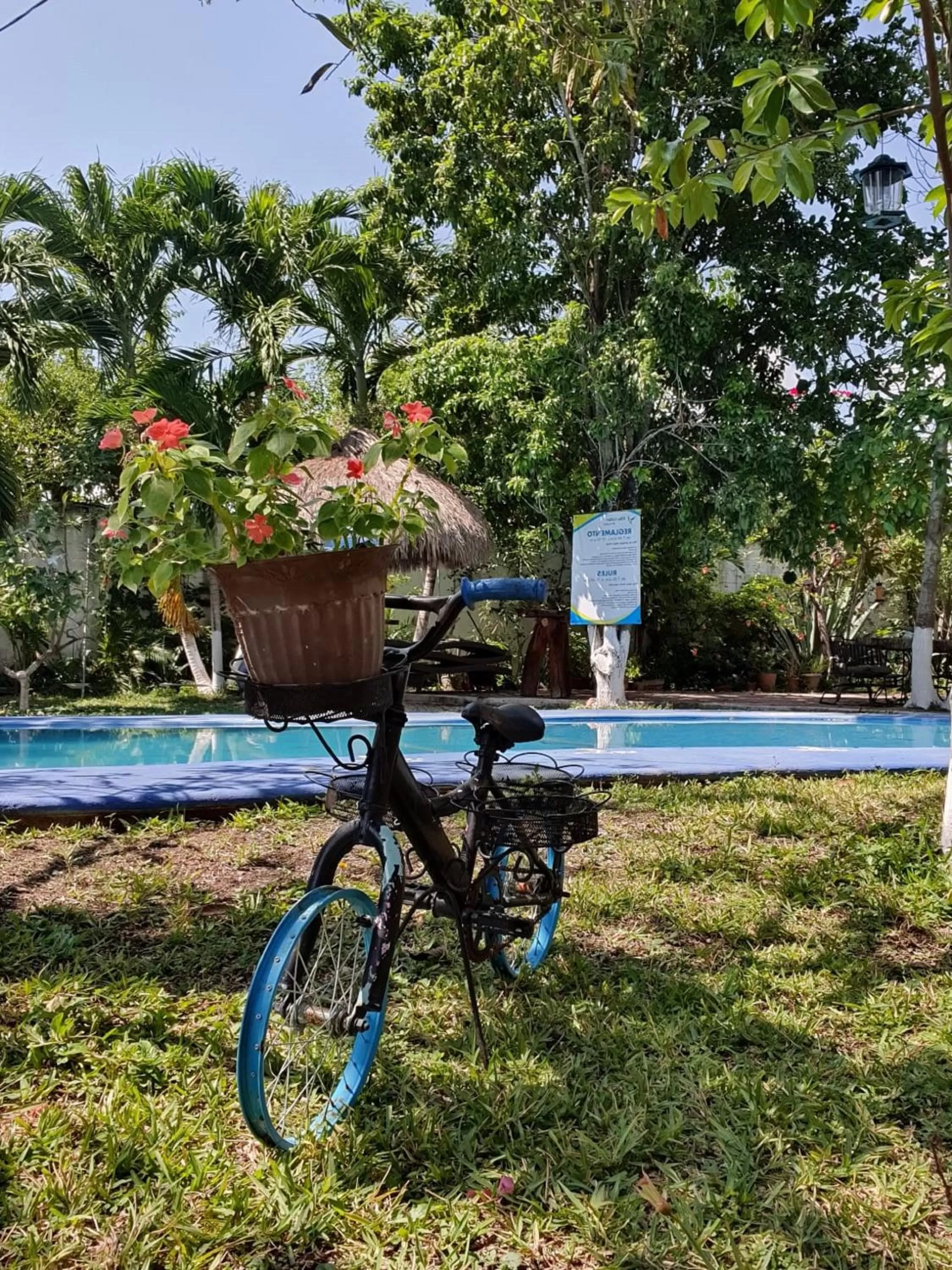 Swimming Pool in Cabañas Colibrí