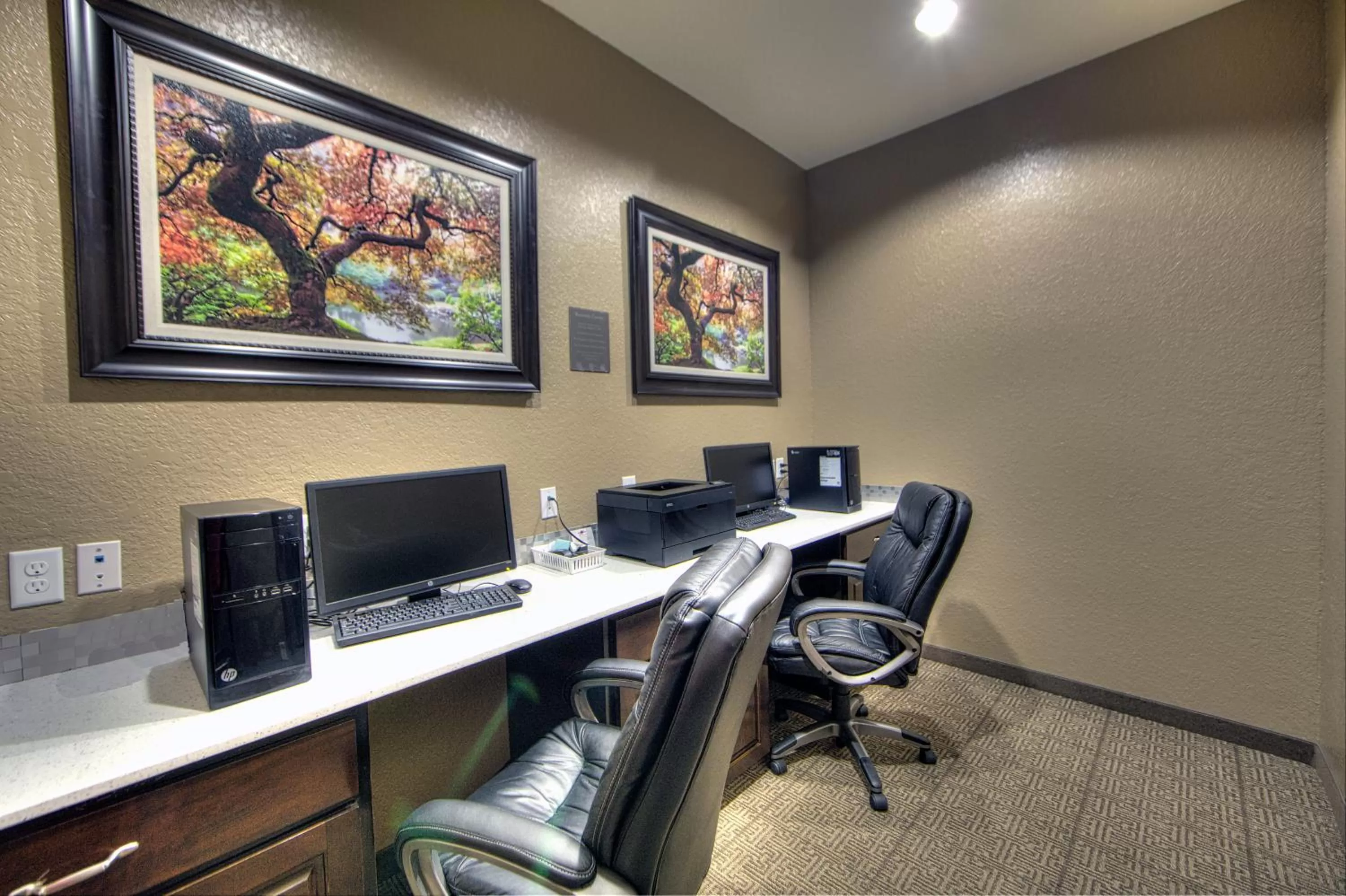 Business facilities in Comfort Inn & Suites Fort Worth West I-30 NAS JRB