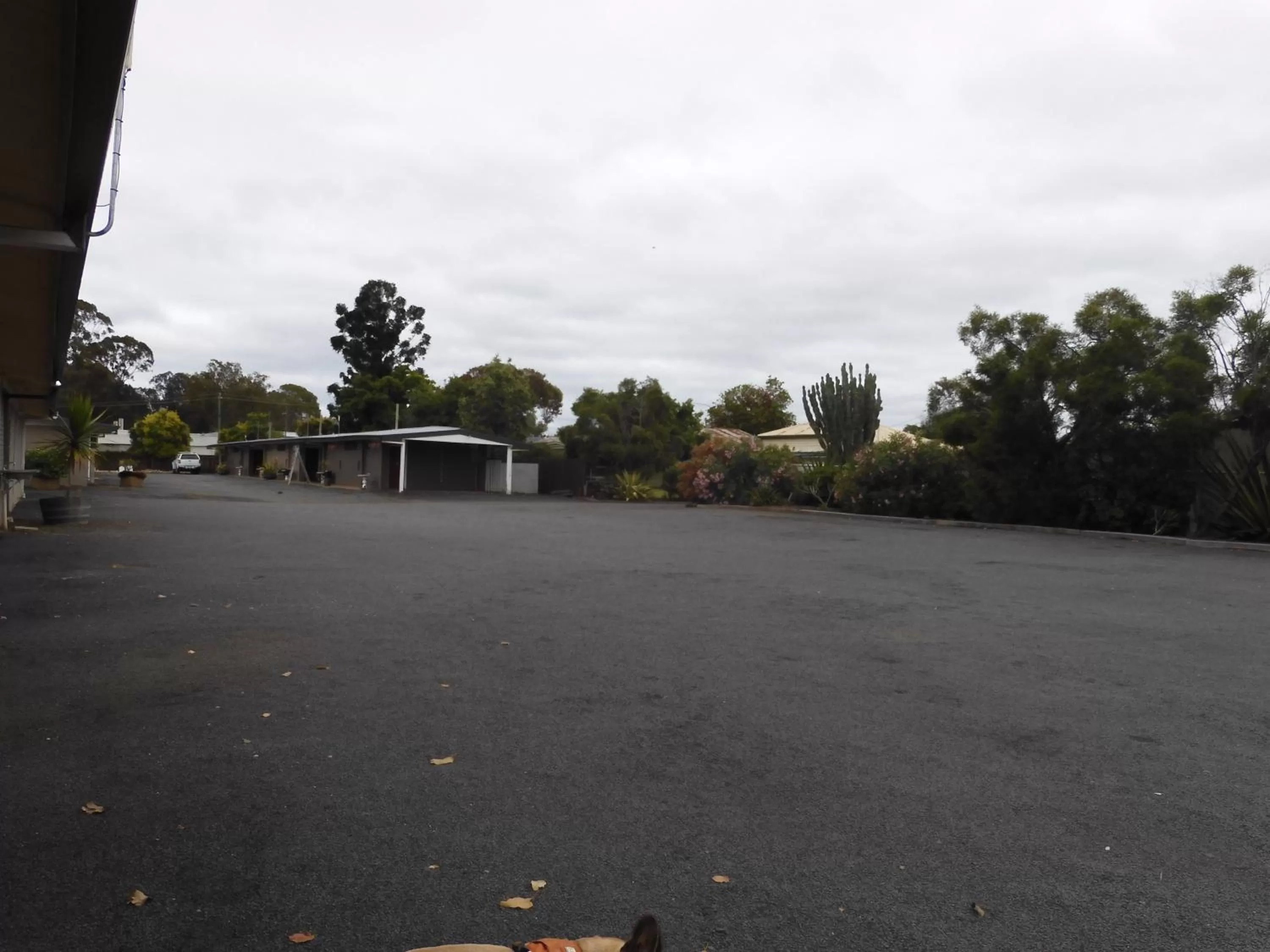 Dalby Parkview Motel