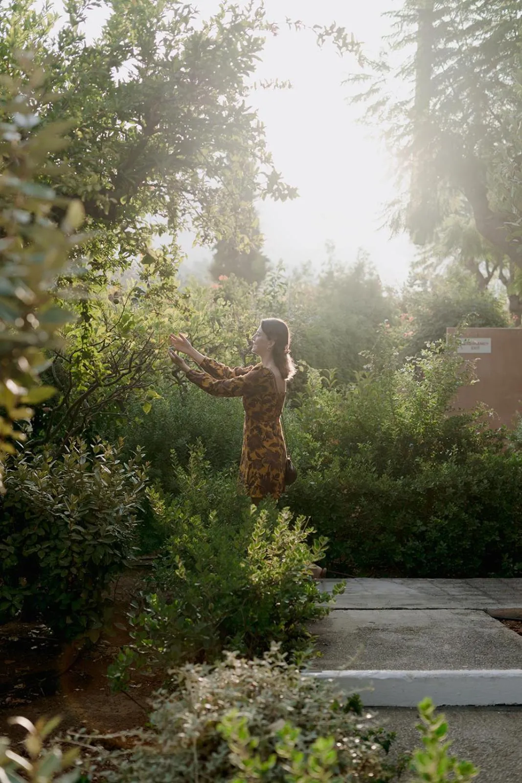 Garden in Koutouloufari Village Holiday Club