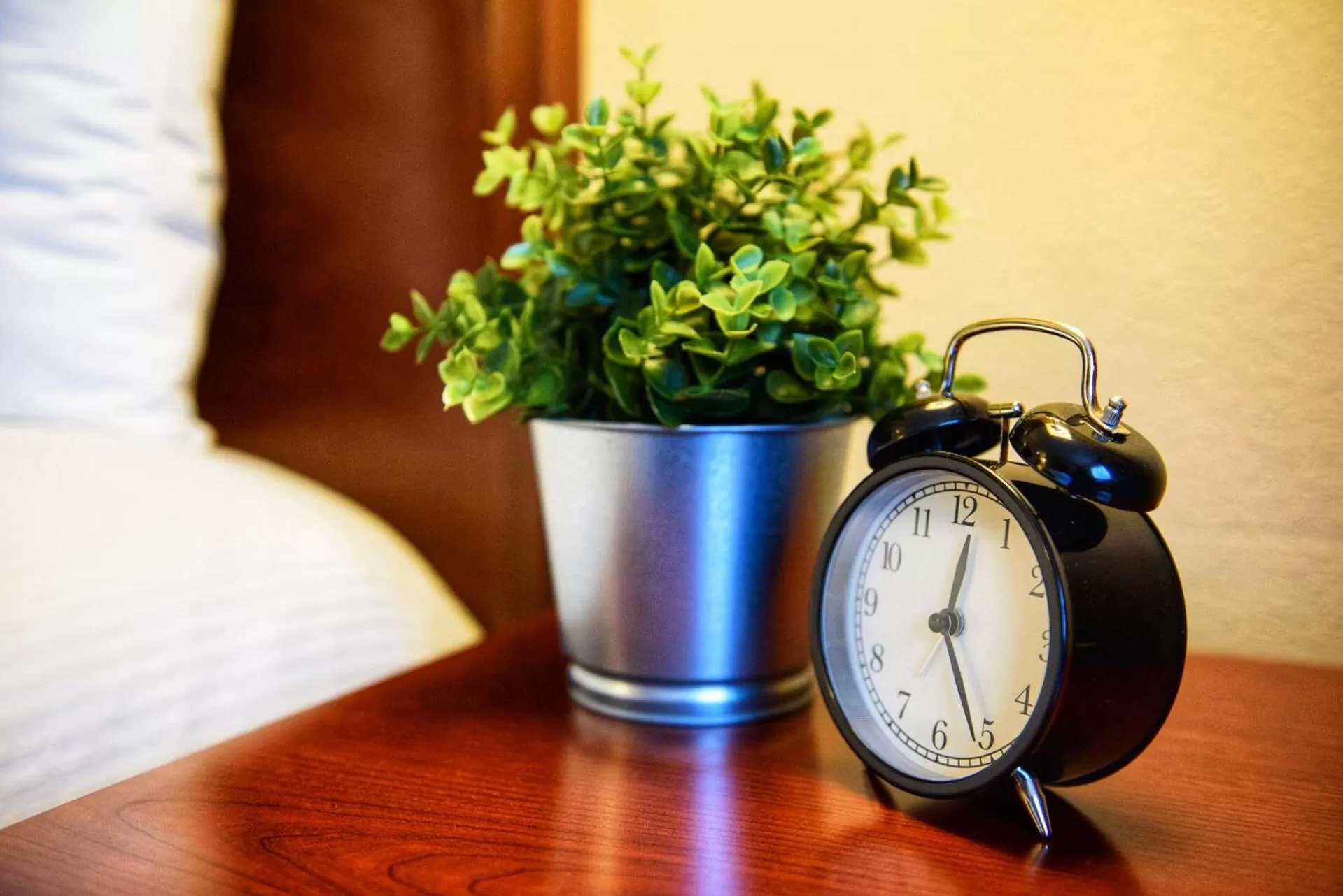 Decorative detail in Georgetown Inn Seattle