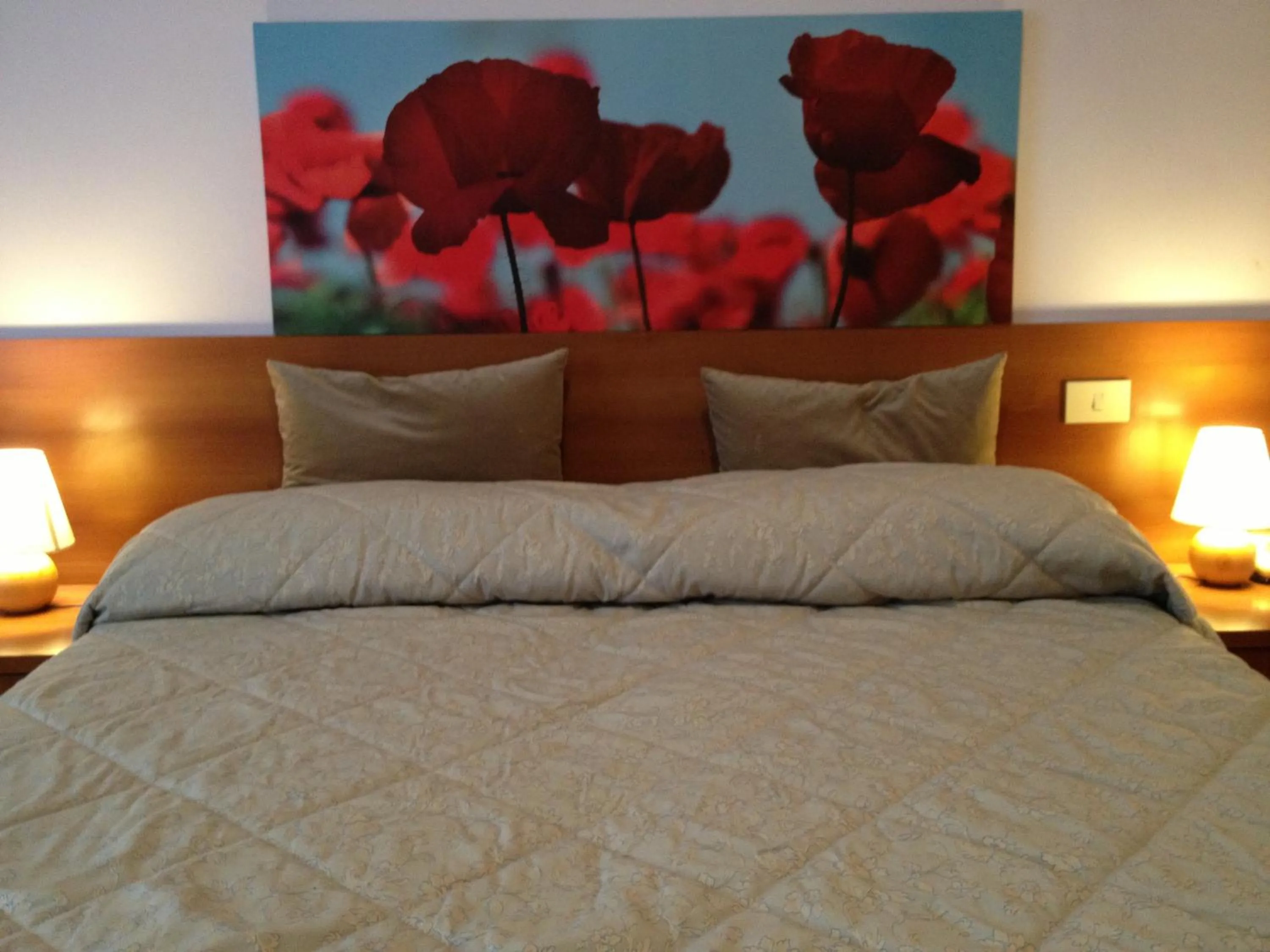 Bed in Hotel Indicatore