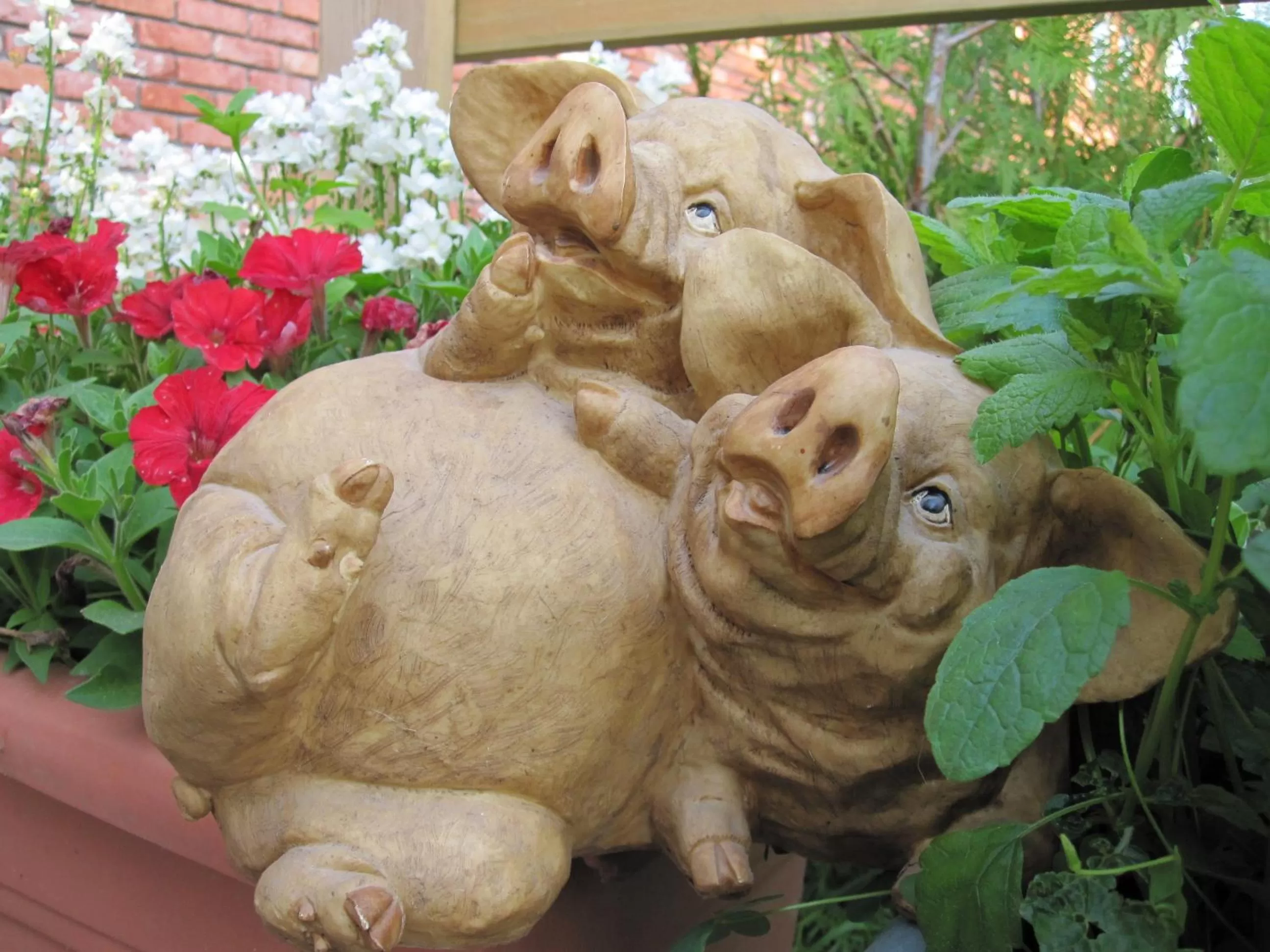 Other Animals in B&B Herberg Boerenhol