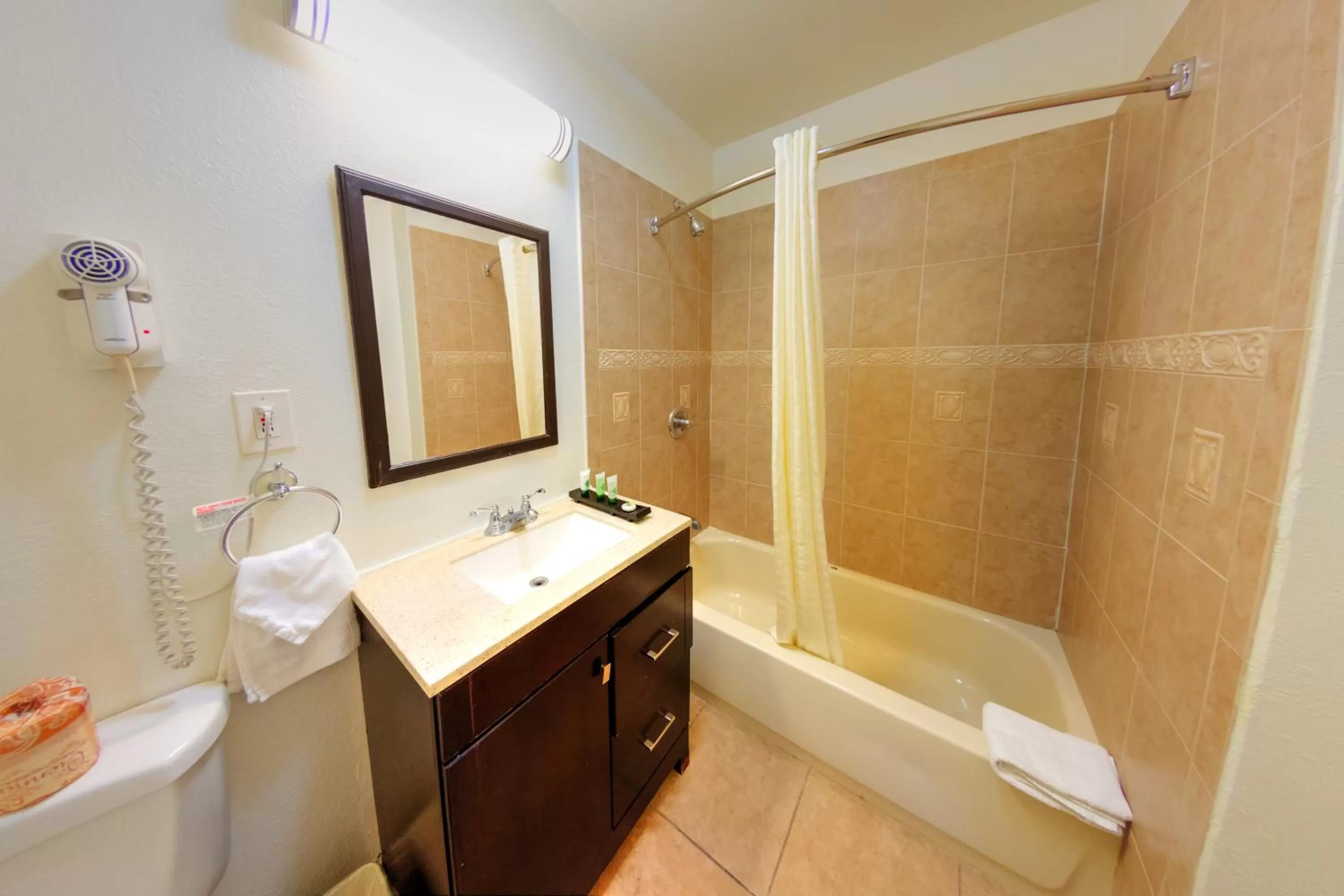 Bathroom in Palm Tropics Motel