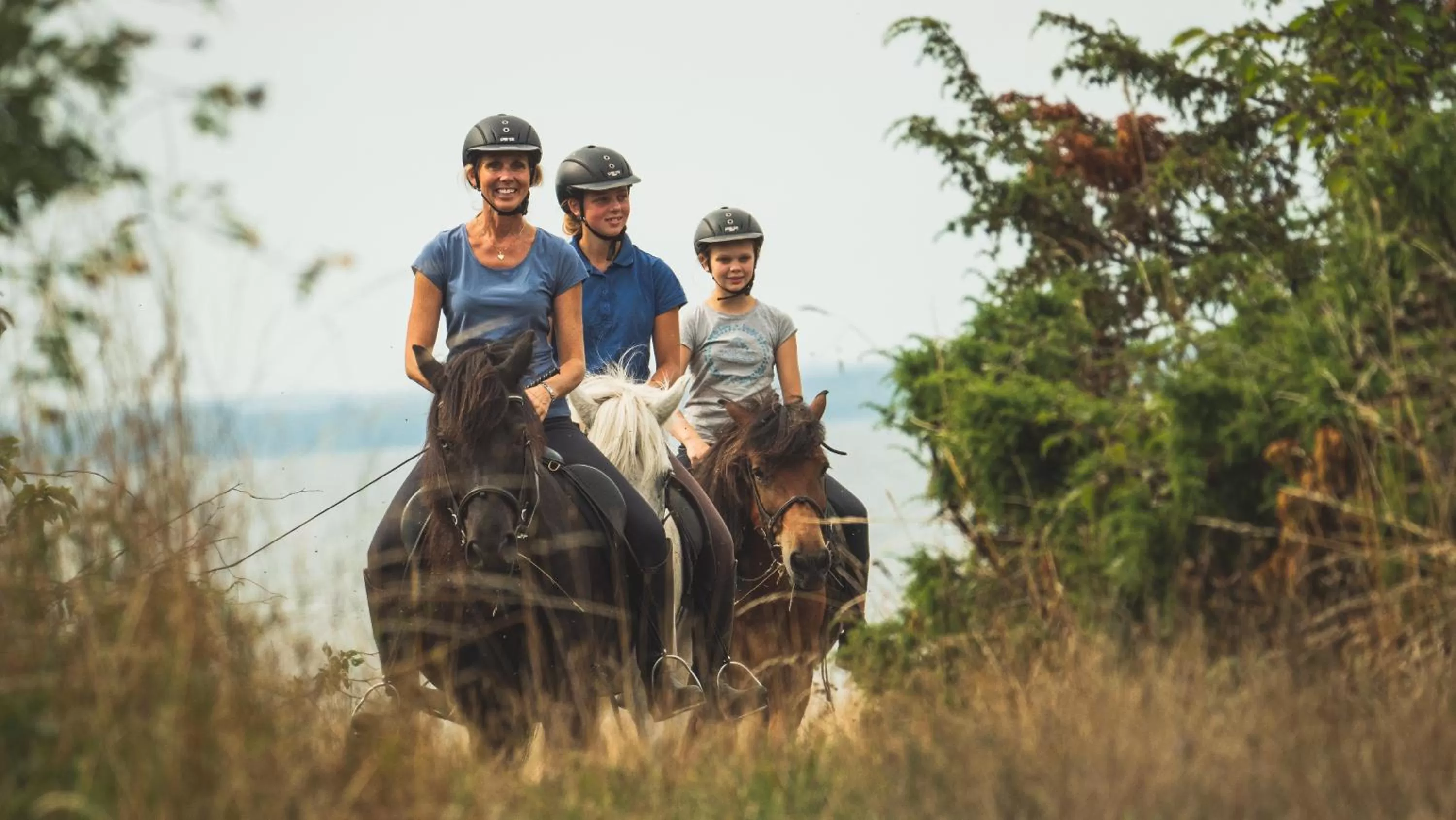 Property building in Ölands Yoga Studio & Islandshästar, Stugor & Rum
