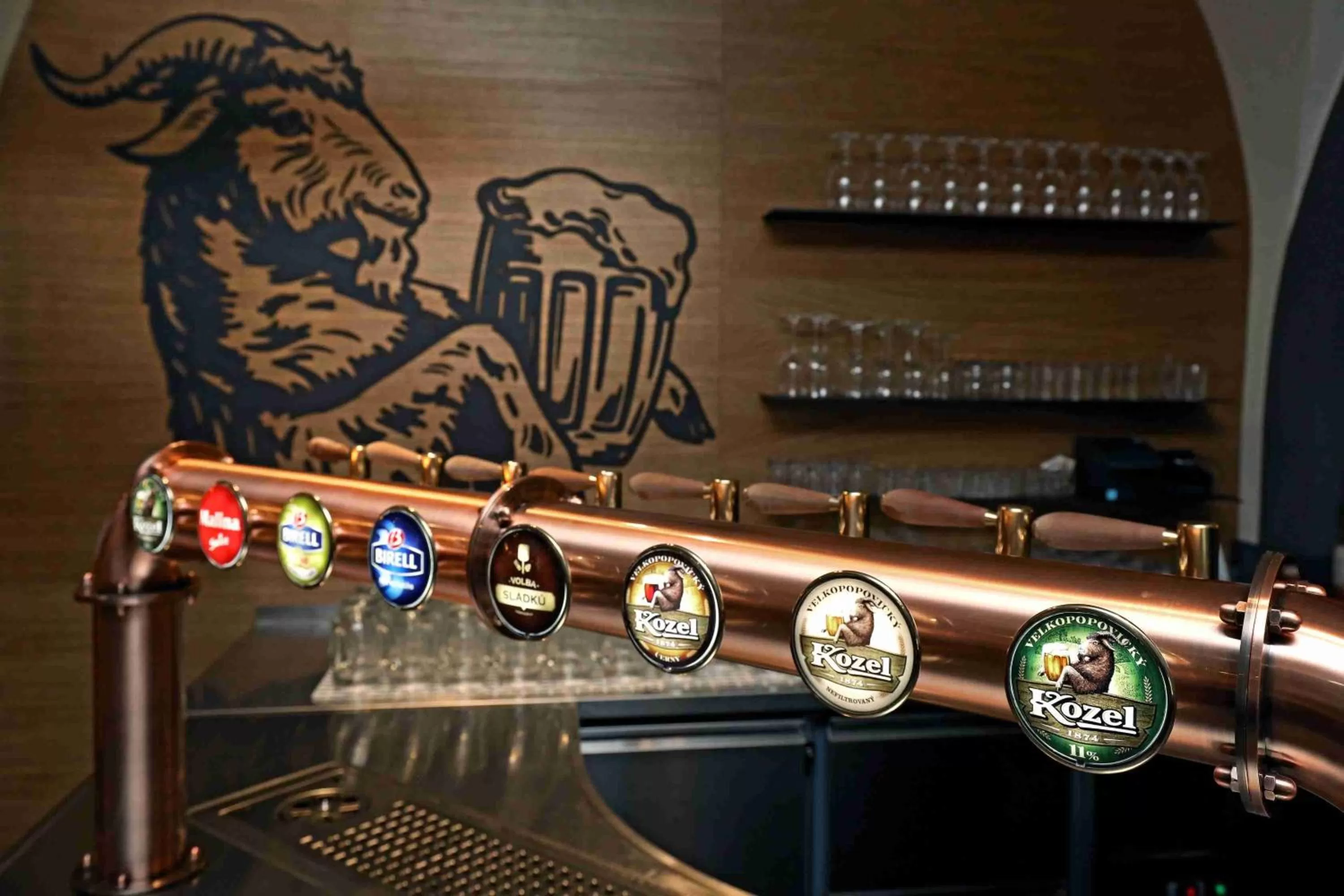 Restaurant/places to eat in Hotel u Ledu