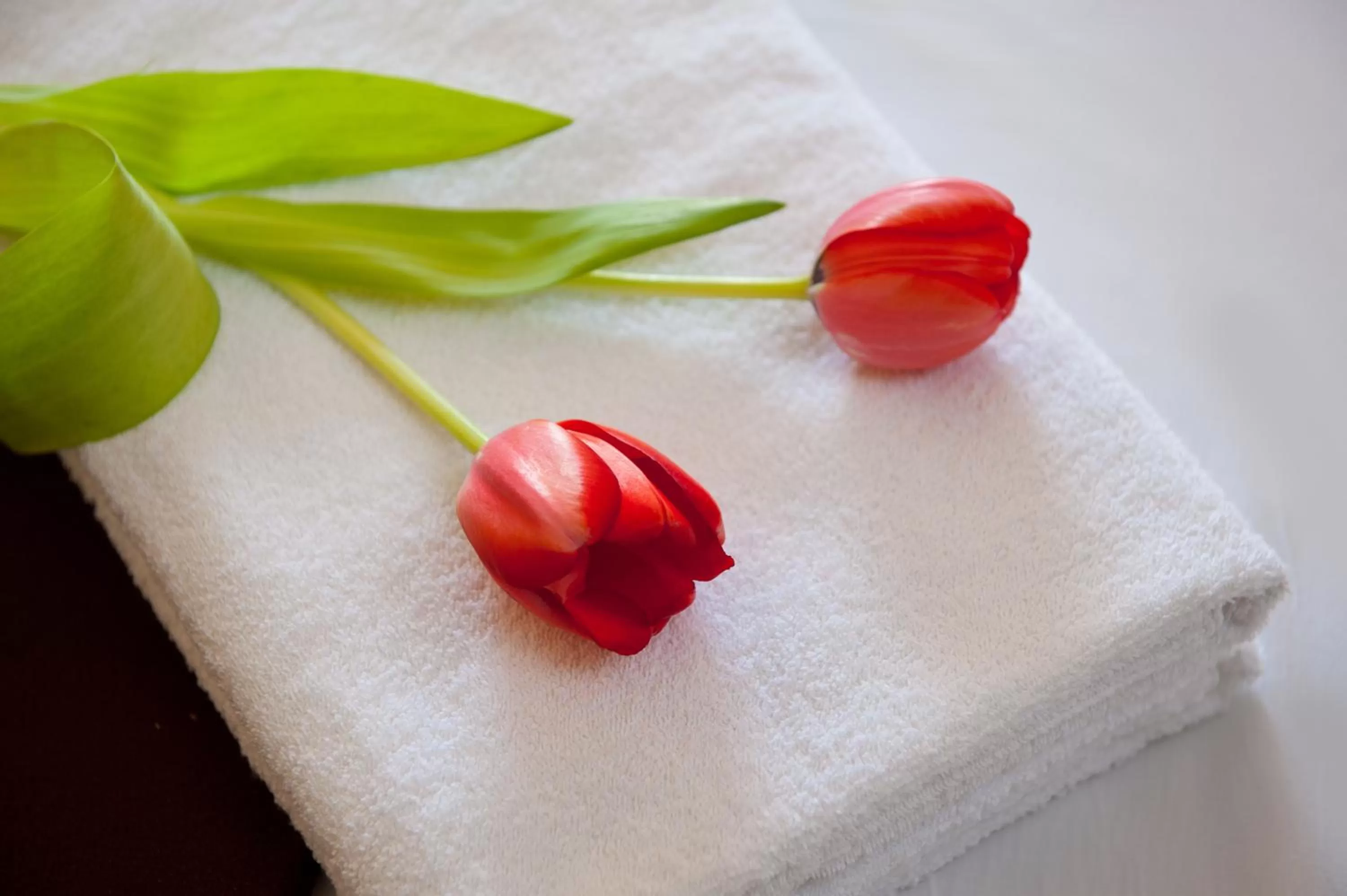 Bed in Leonardo Royal Resort Eilat