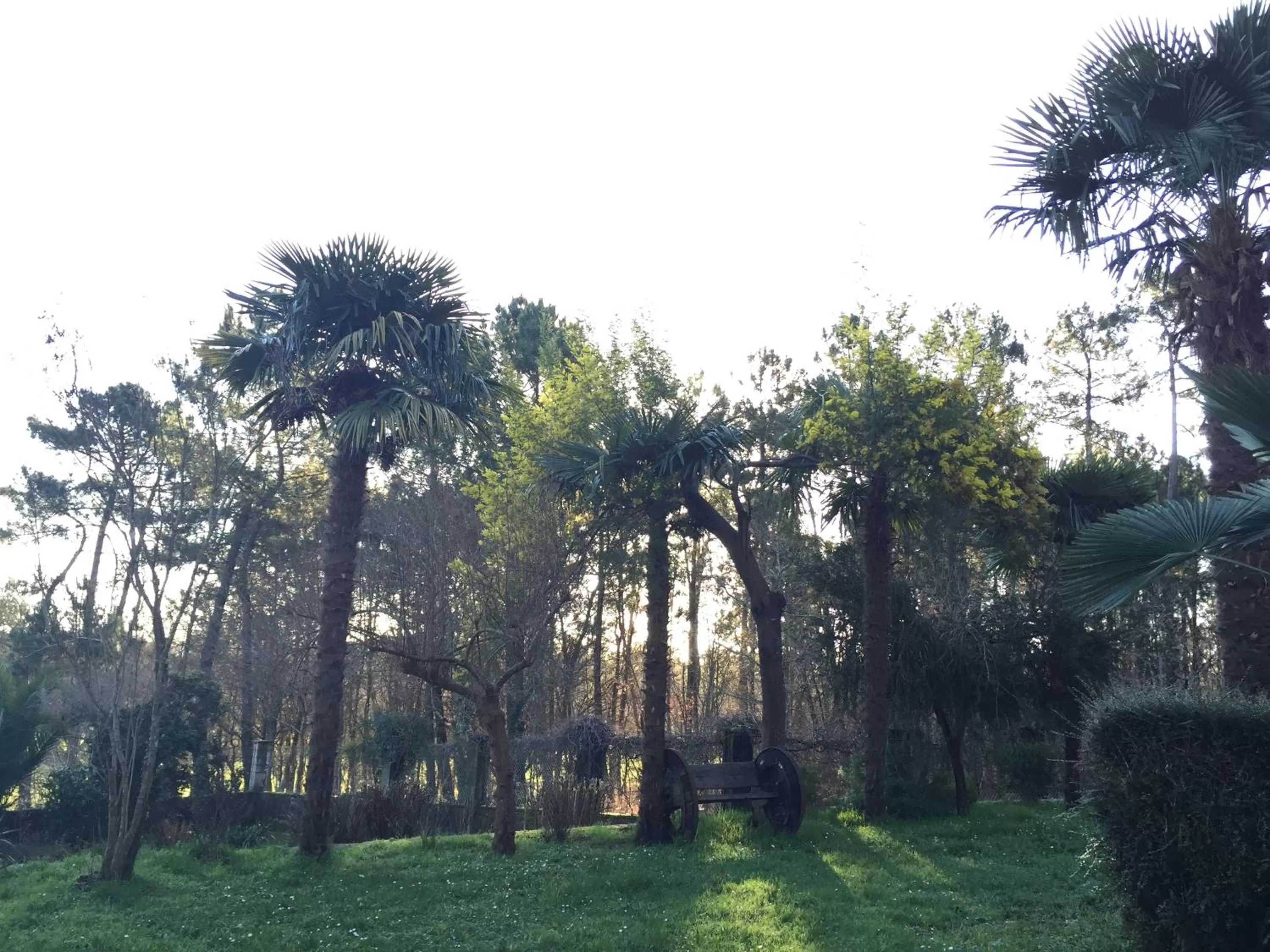 Garden in Agro da Gandarela