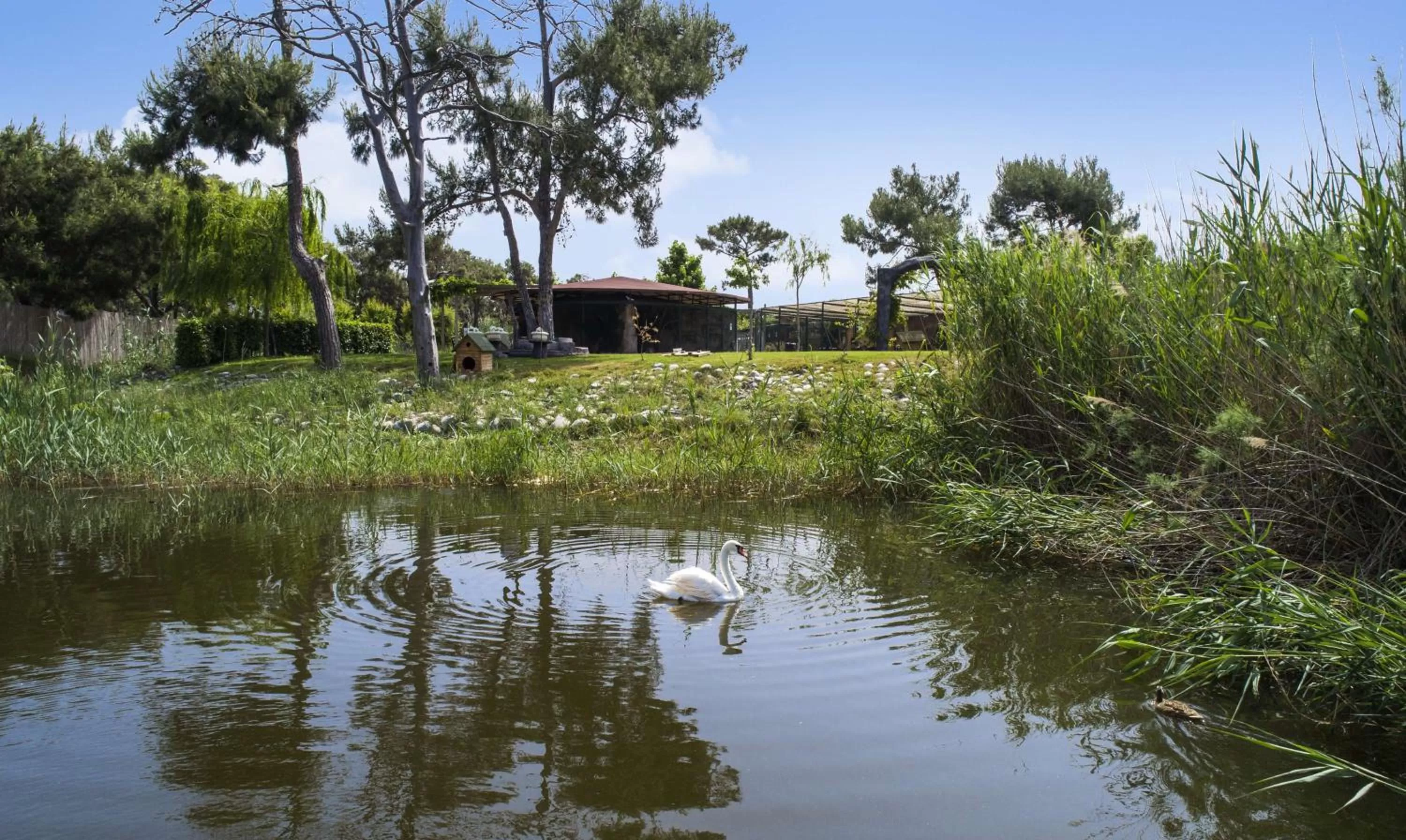 Garden in Hilton Dalaman Sarigerme Resort & Spa