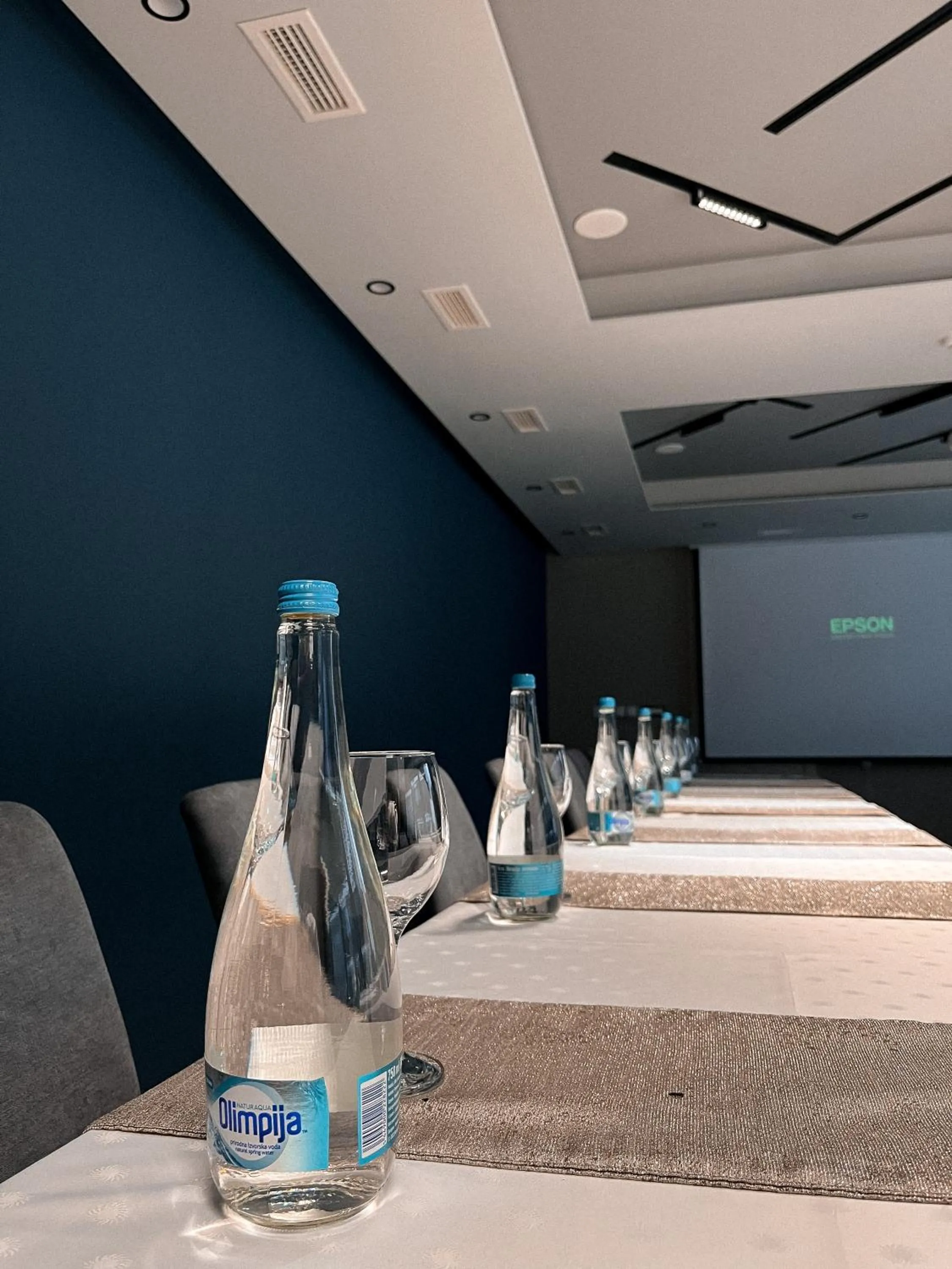 Meeting/conference room in Hotel Eden