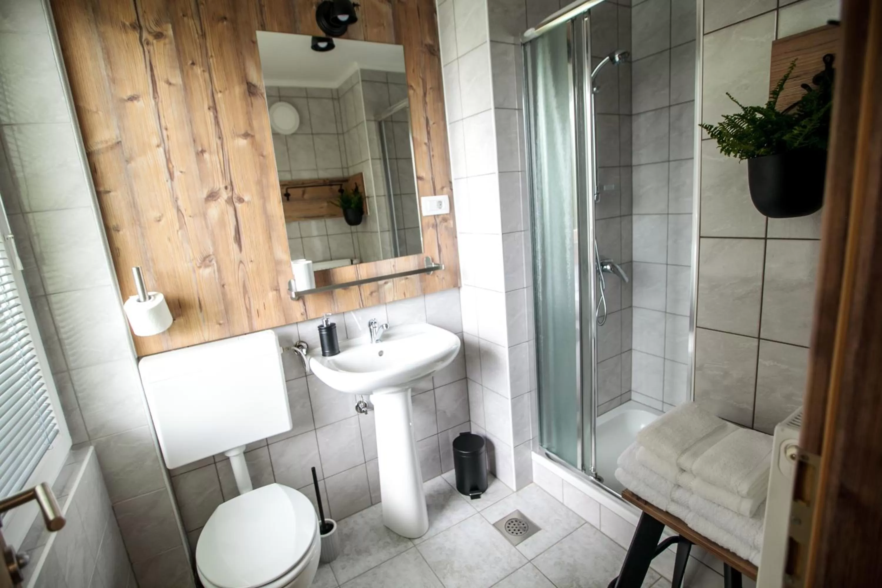 Shower, Bathroom in Hiša Poljana