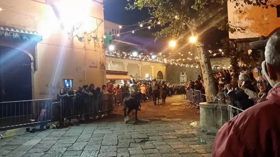 Neighbourhood in B&B Oliva