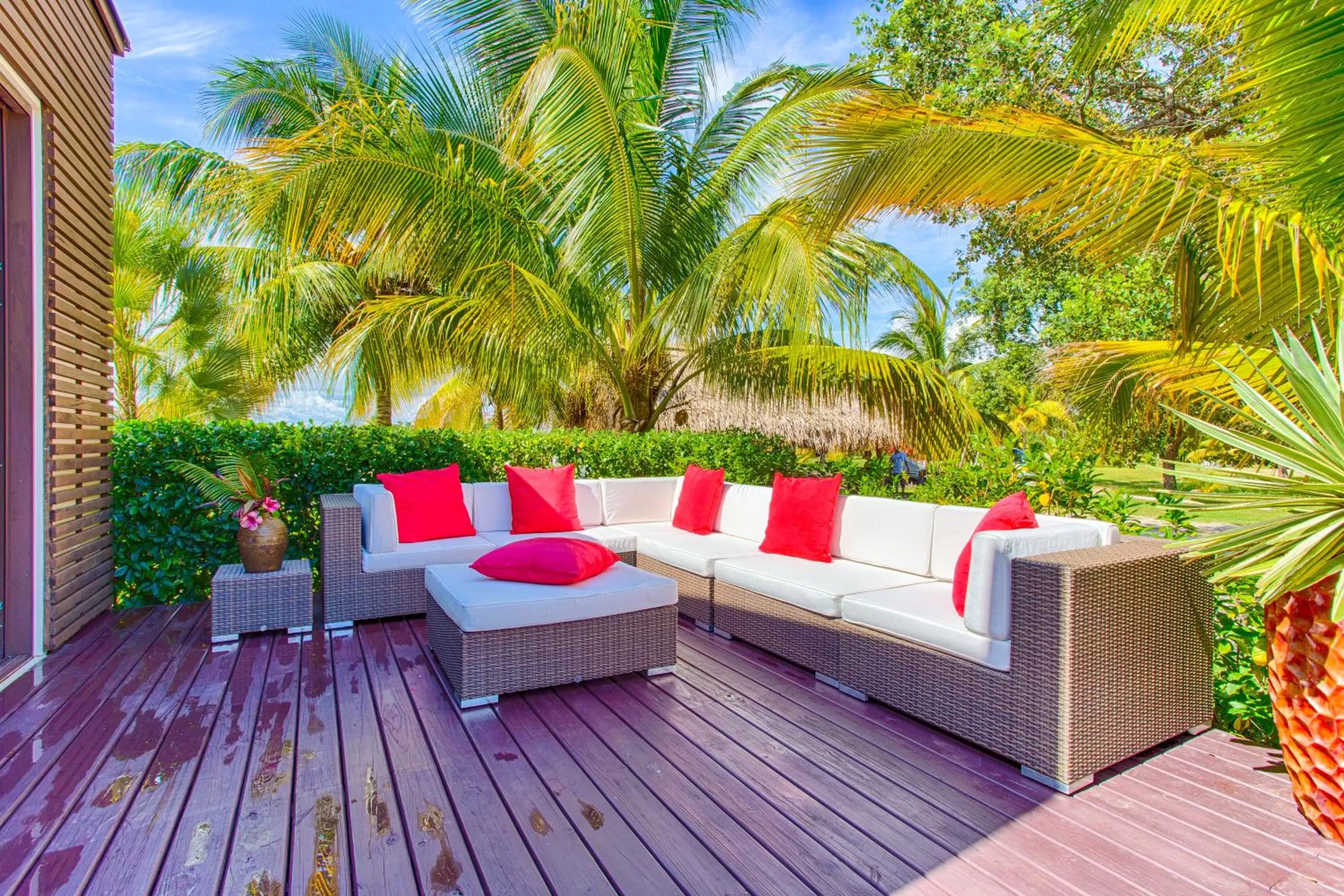 Patio in Wild Orchid