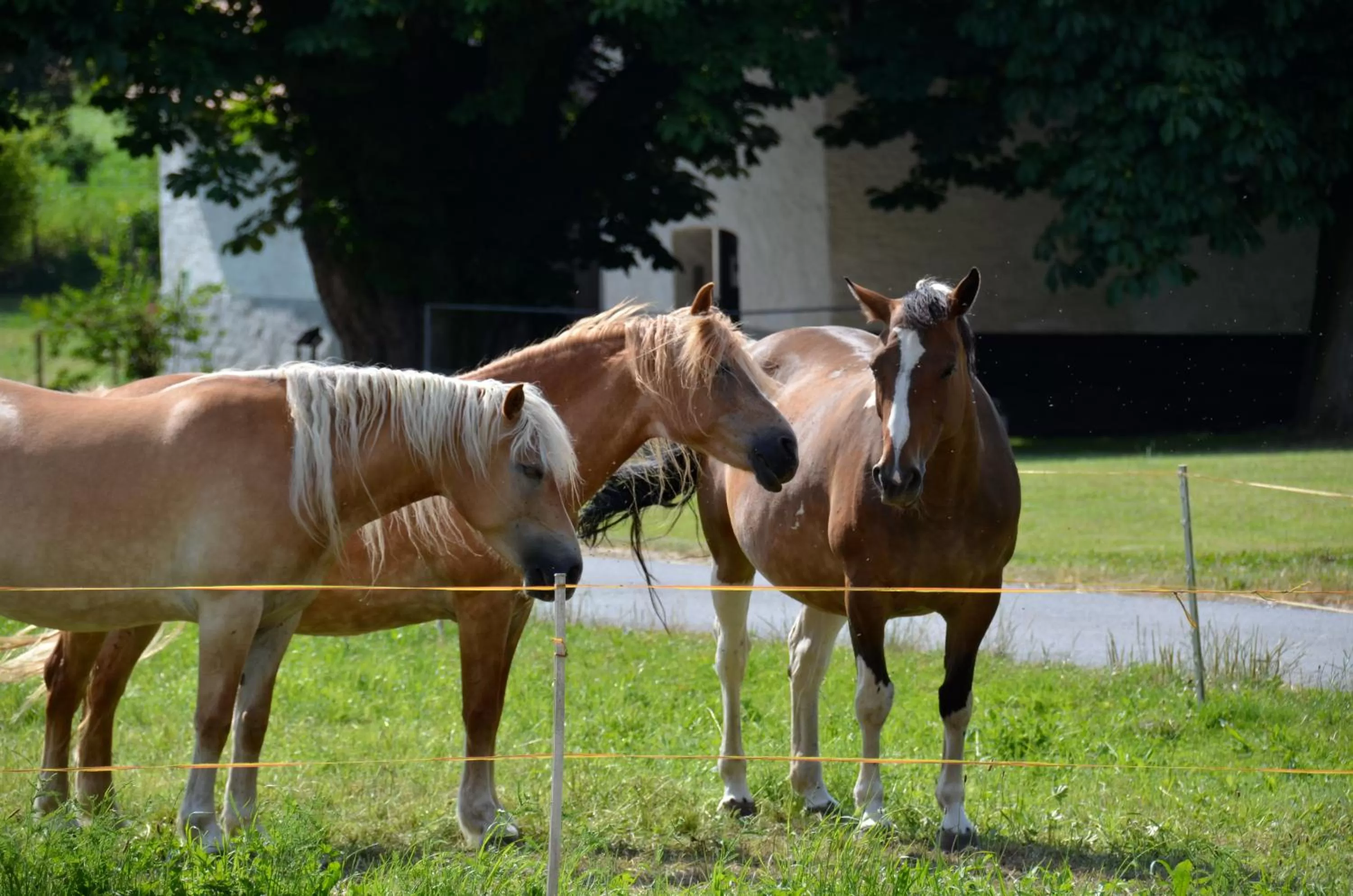 Day in Landhotel Sulzbacher Hof
