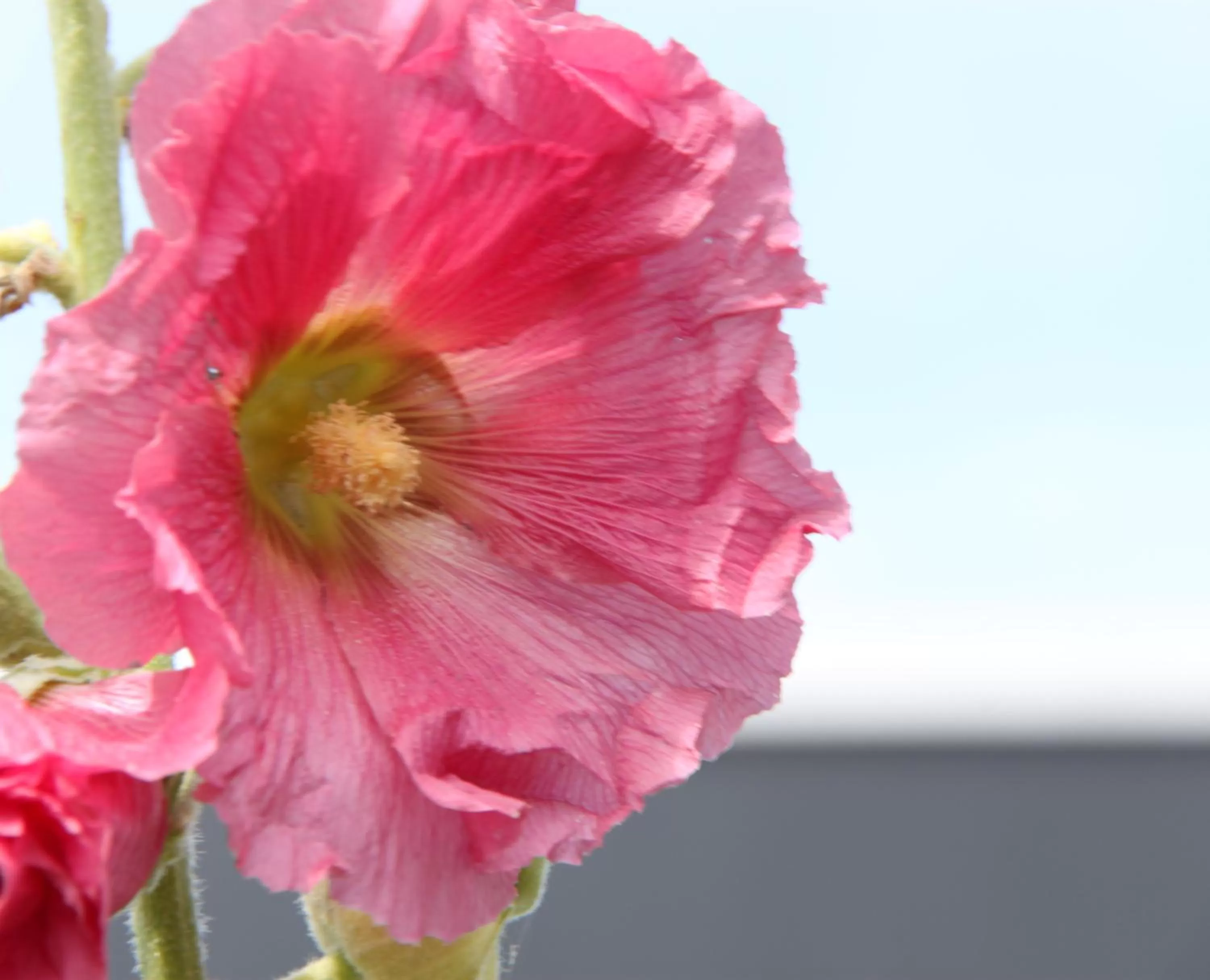 Property building in Studio Art-hill