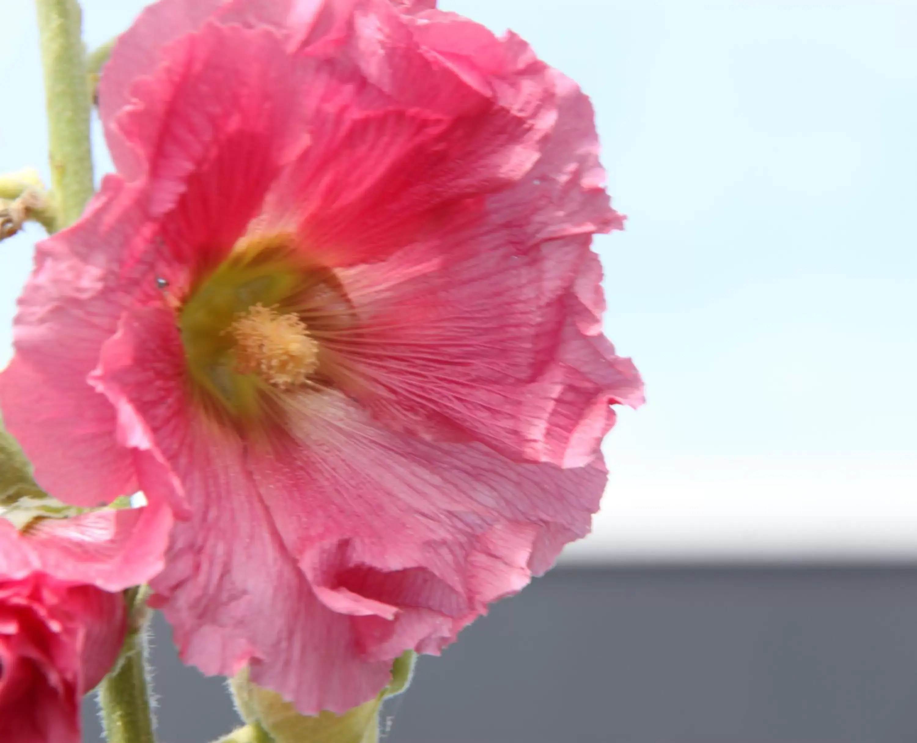 Studio Art-hill Studio Art-hill