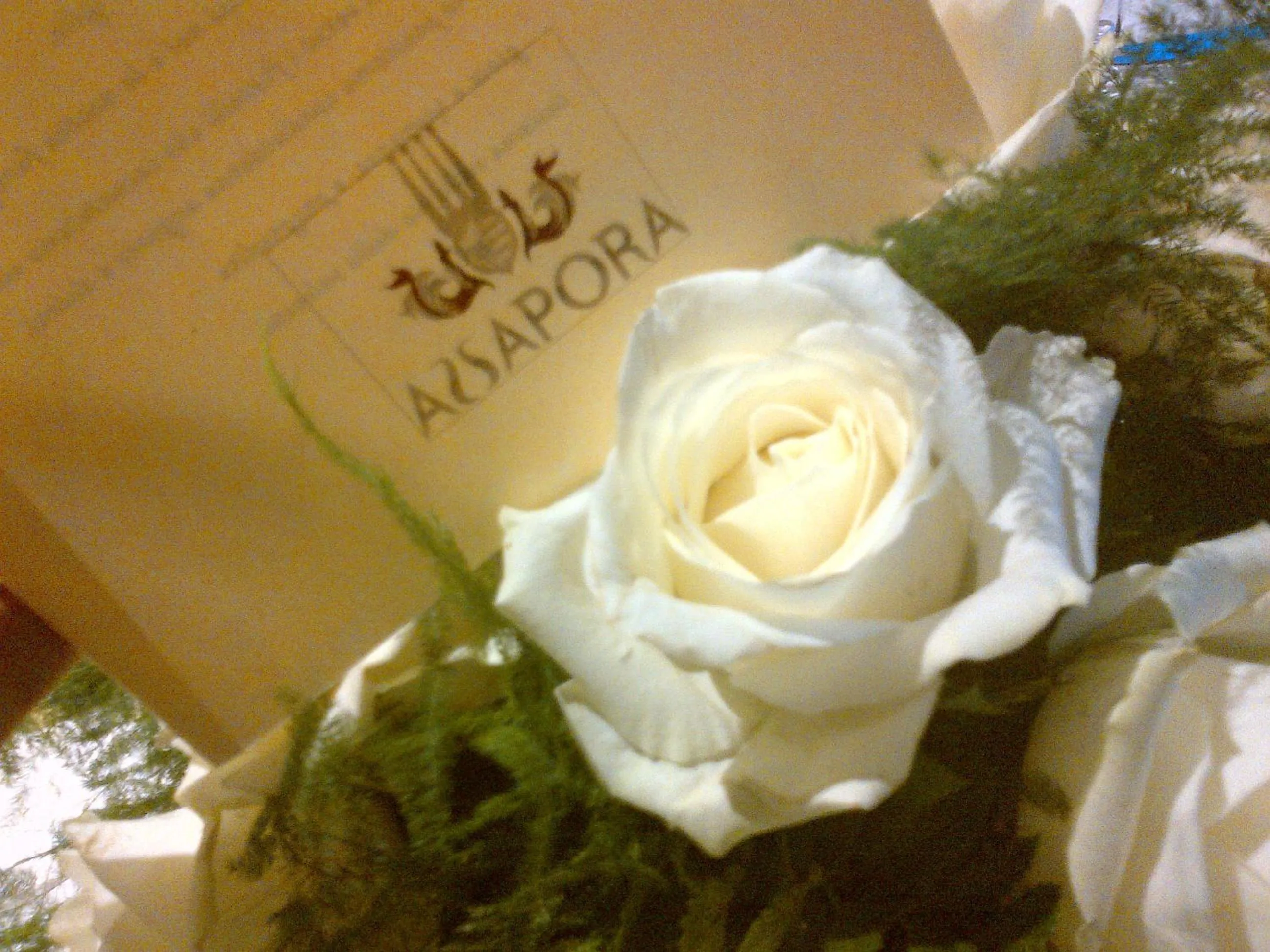 Restaurant/places to eat in TH Assisi - Hotel Cenacolo