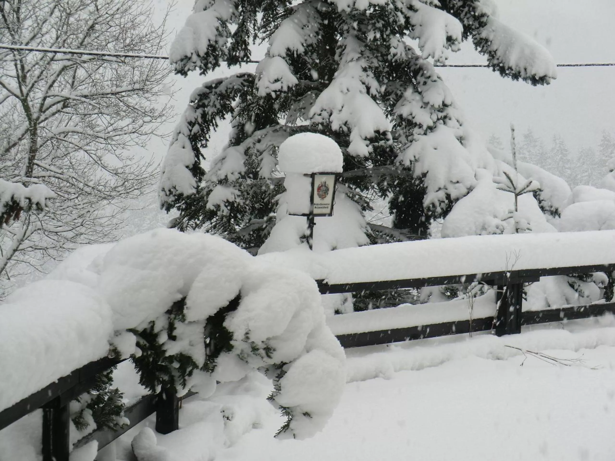 Winter in Hotel Zum Schneekopf "Garni"