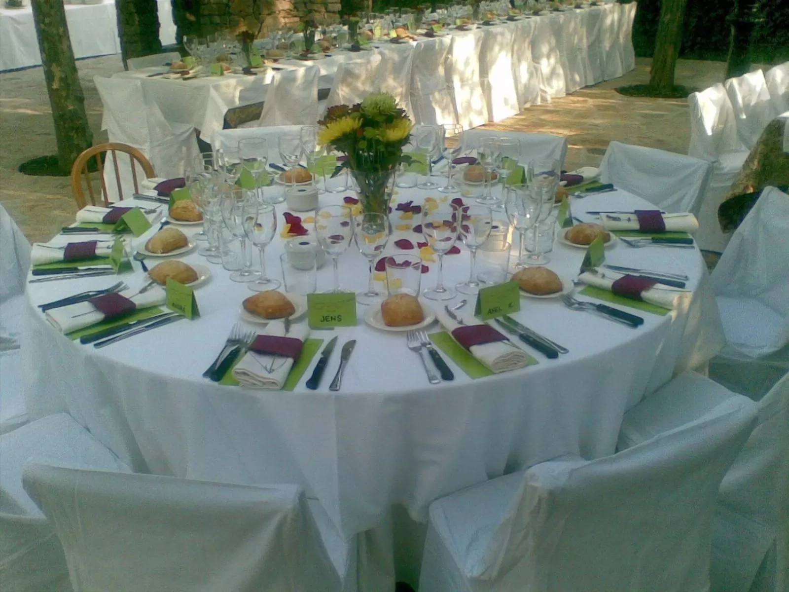 Banquet/Function facilities in Hotel Sara De Ur
