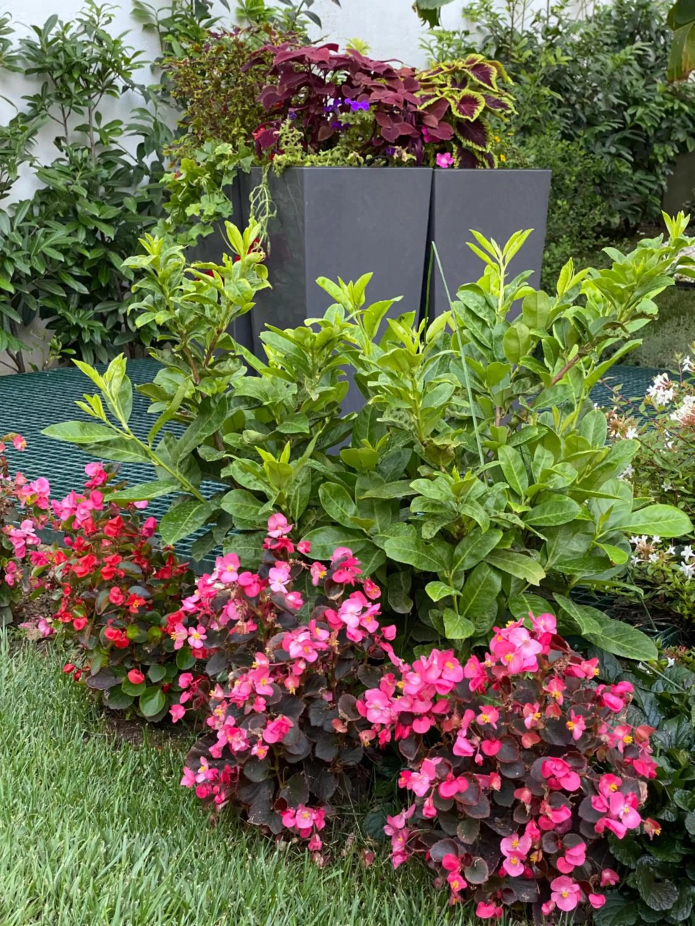 Garden in TM Luxury Apartments Lisbon