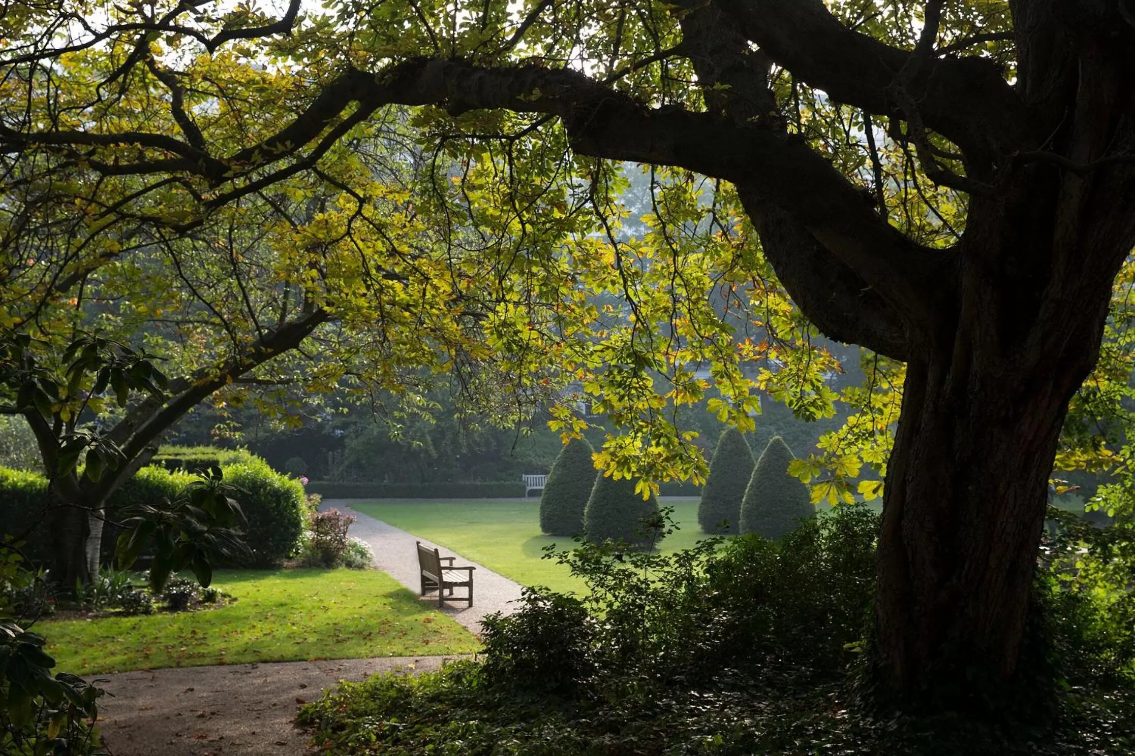 Area and facilities in Jumeirah Carlton Tower London