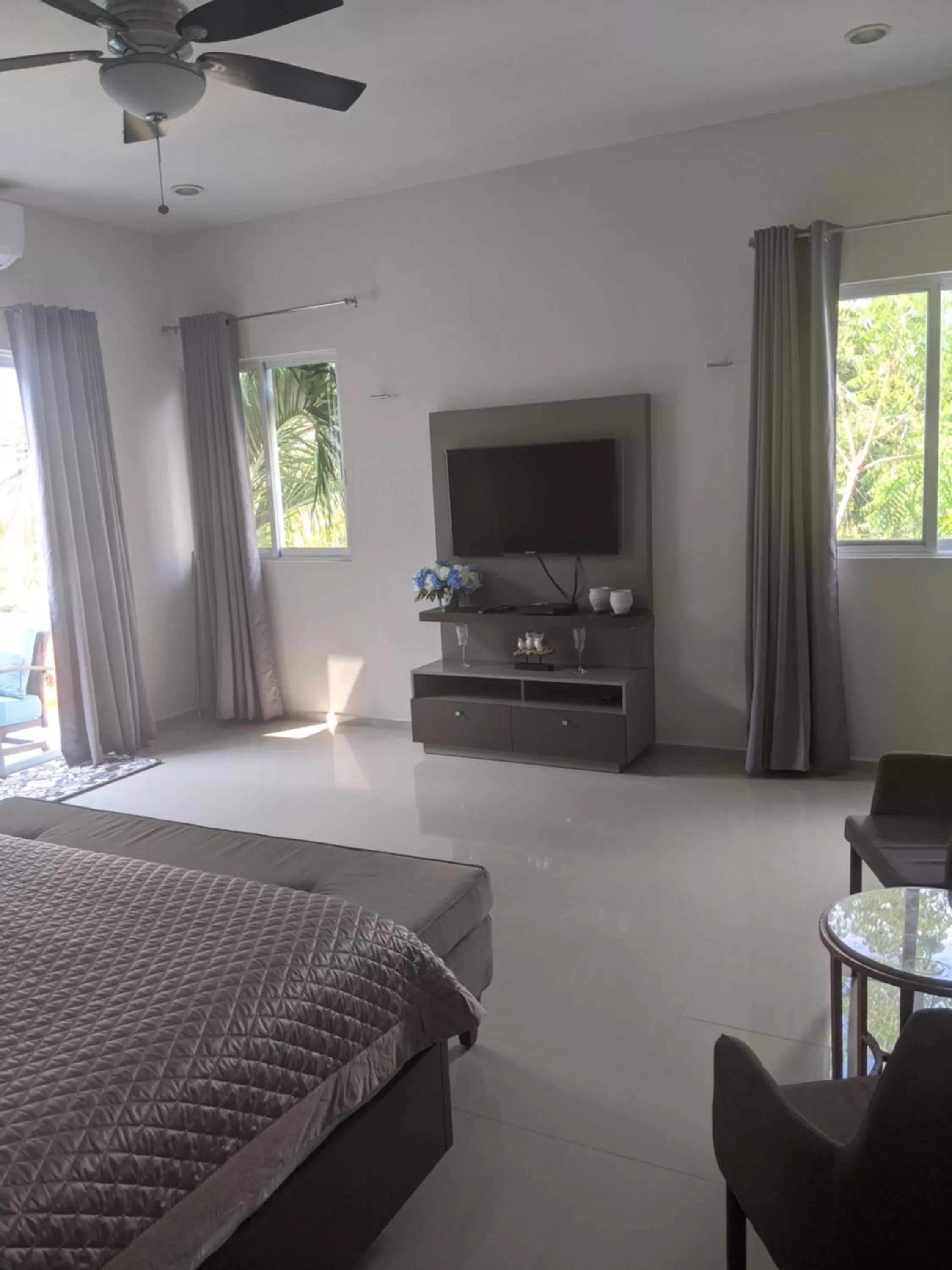 TV and multimedia in Casa Xcanatun