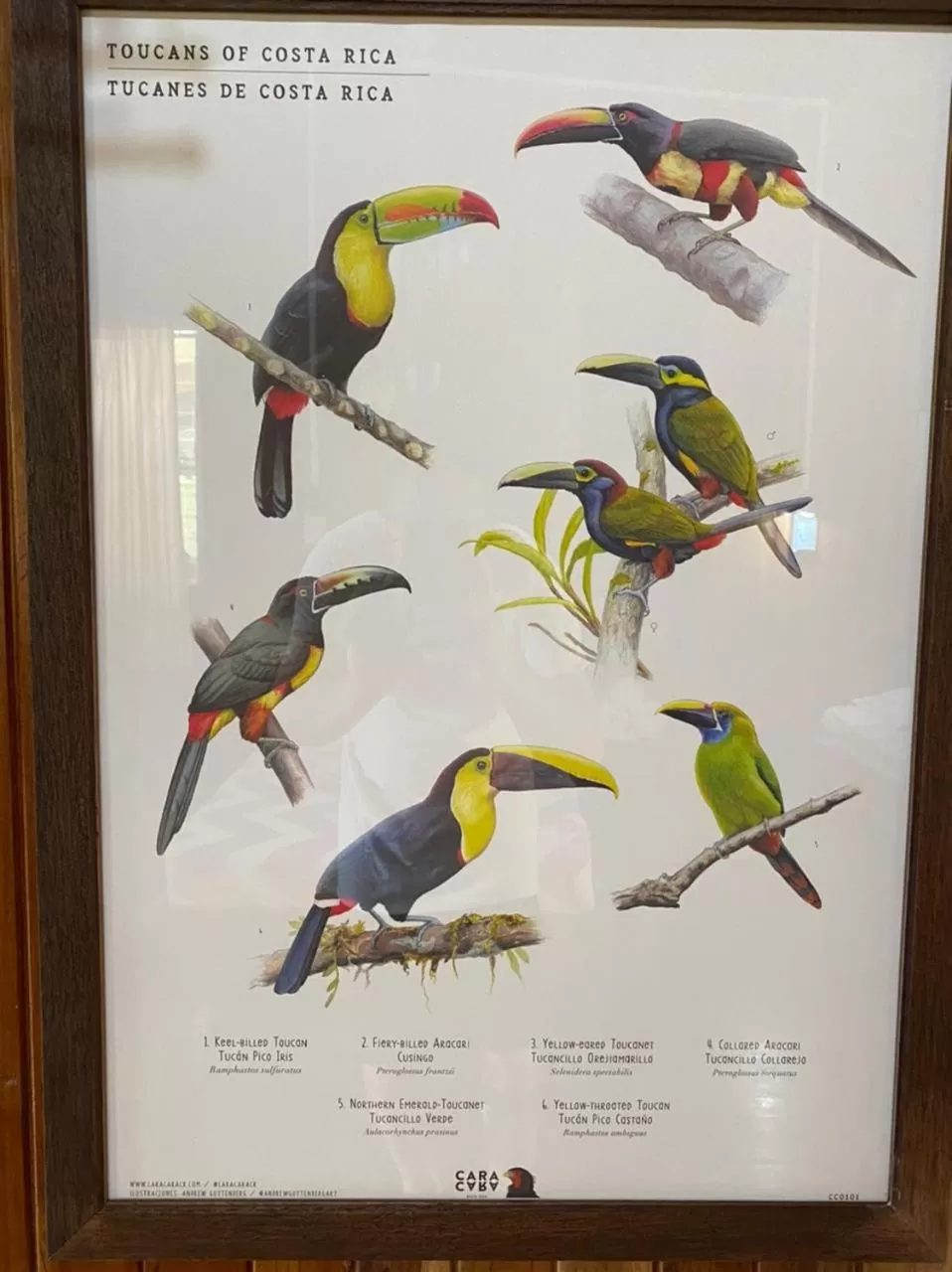 Birds & Breakfast Costa Rica