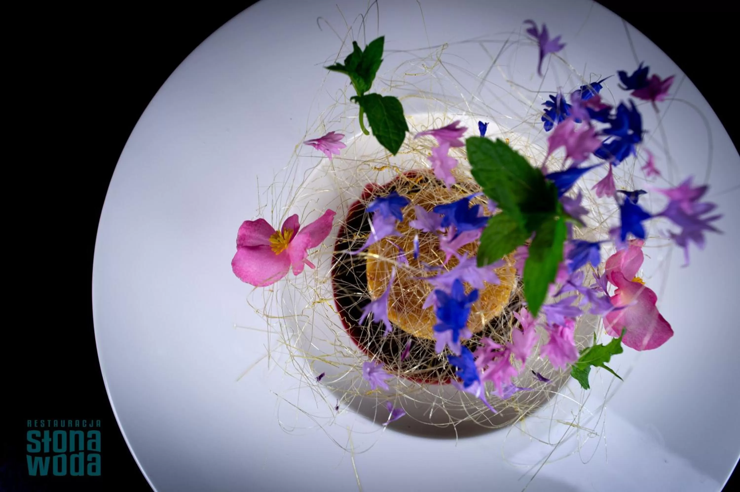 Restaurant/places to eat in Hotel Testa