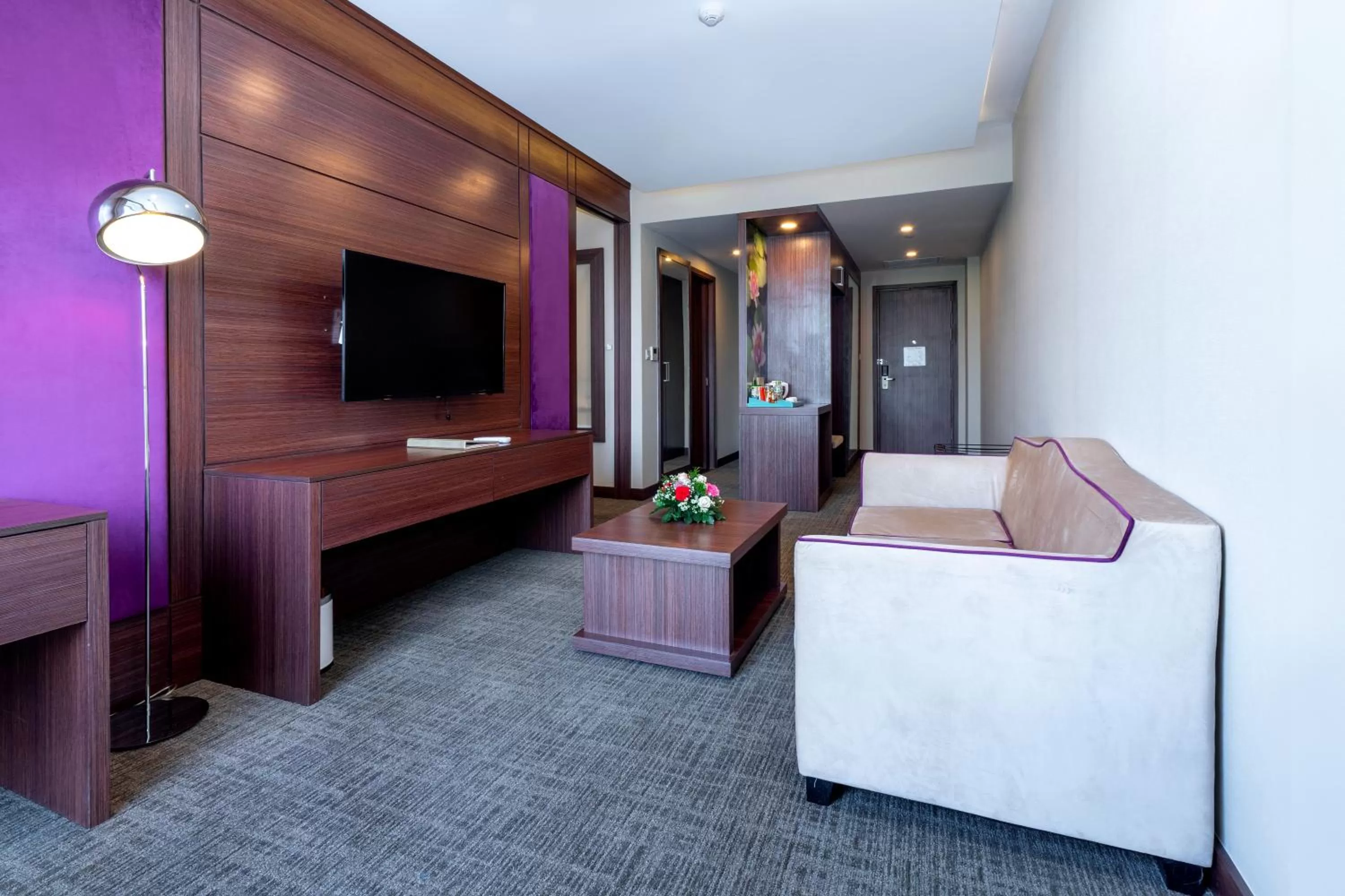 TV and multimedia in Becamex Hotel New City