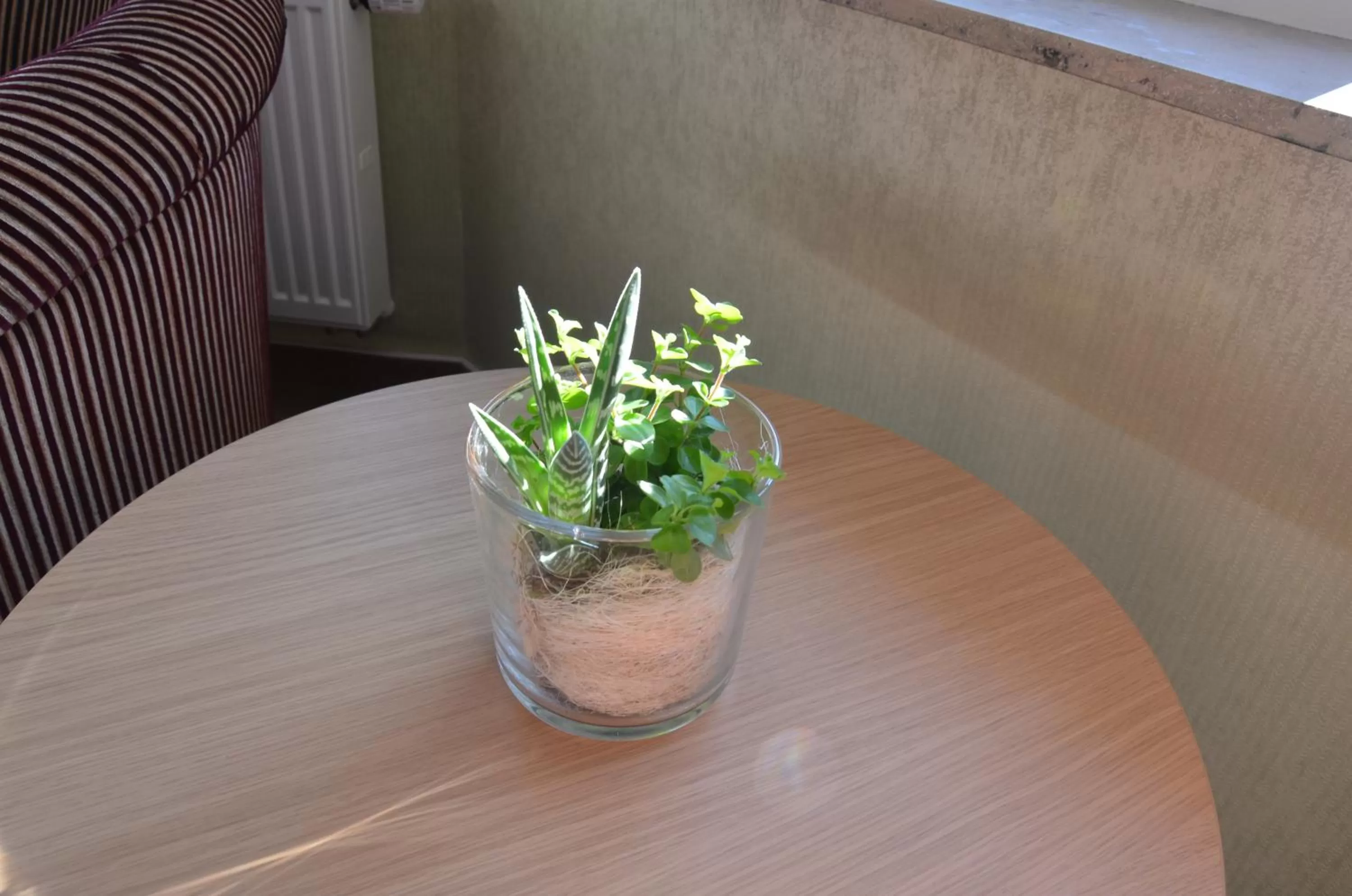 Photo of the whole room in Hotel Ortel