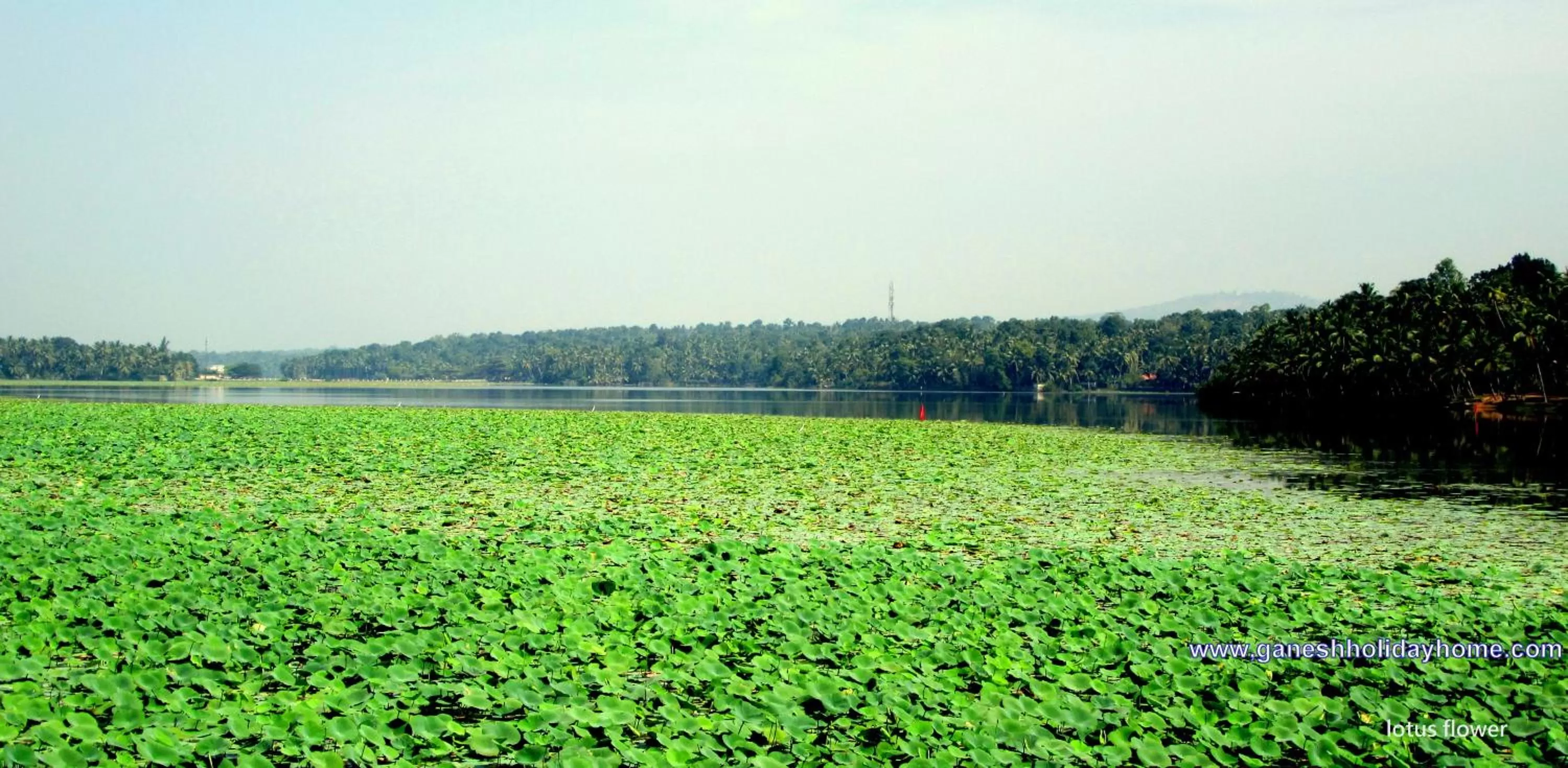 Nearby landmark in Ganesh Ayurveda Holiday Home