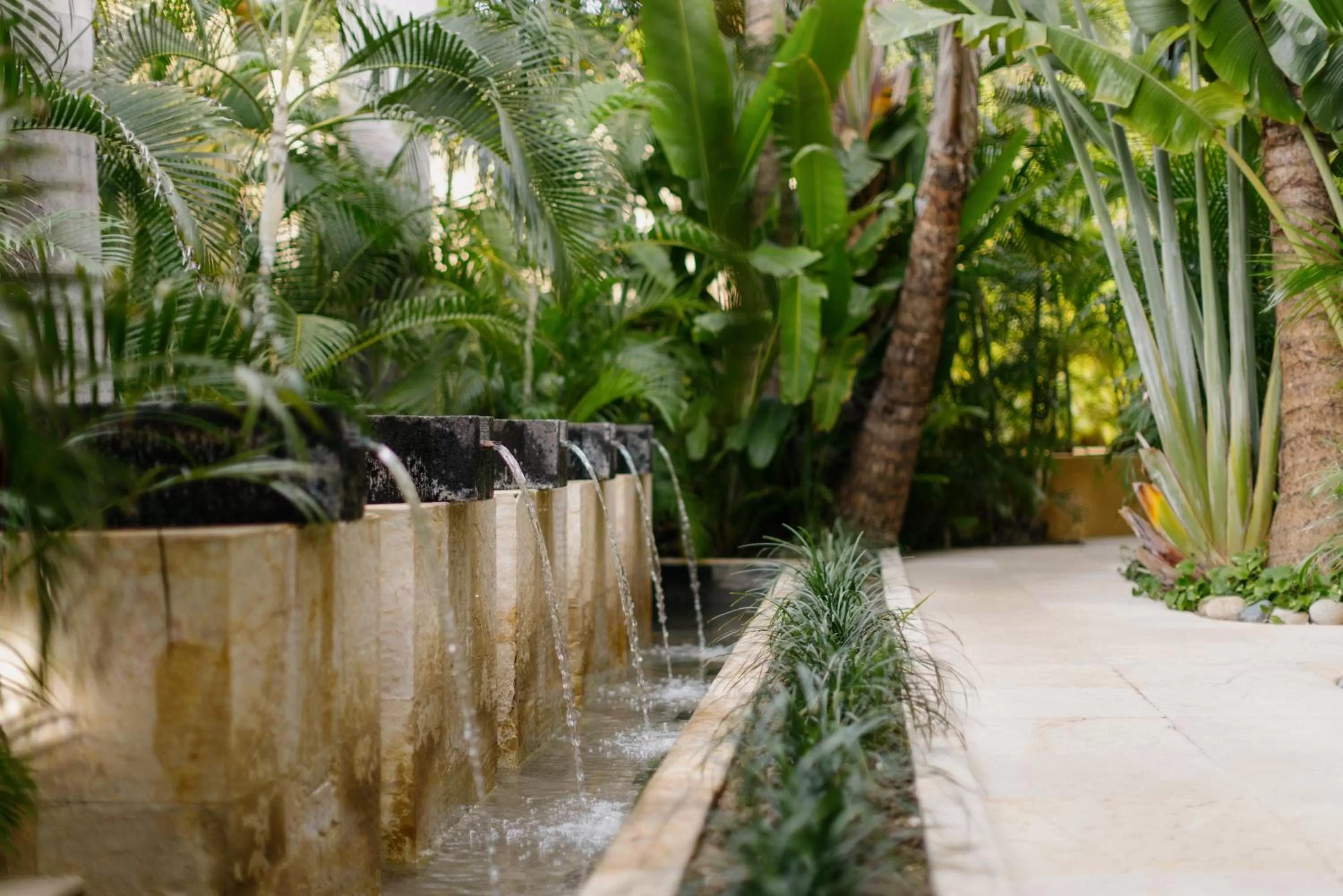 Natural landscape in Cala de Mar Resort & Spa Ixtapa